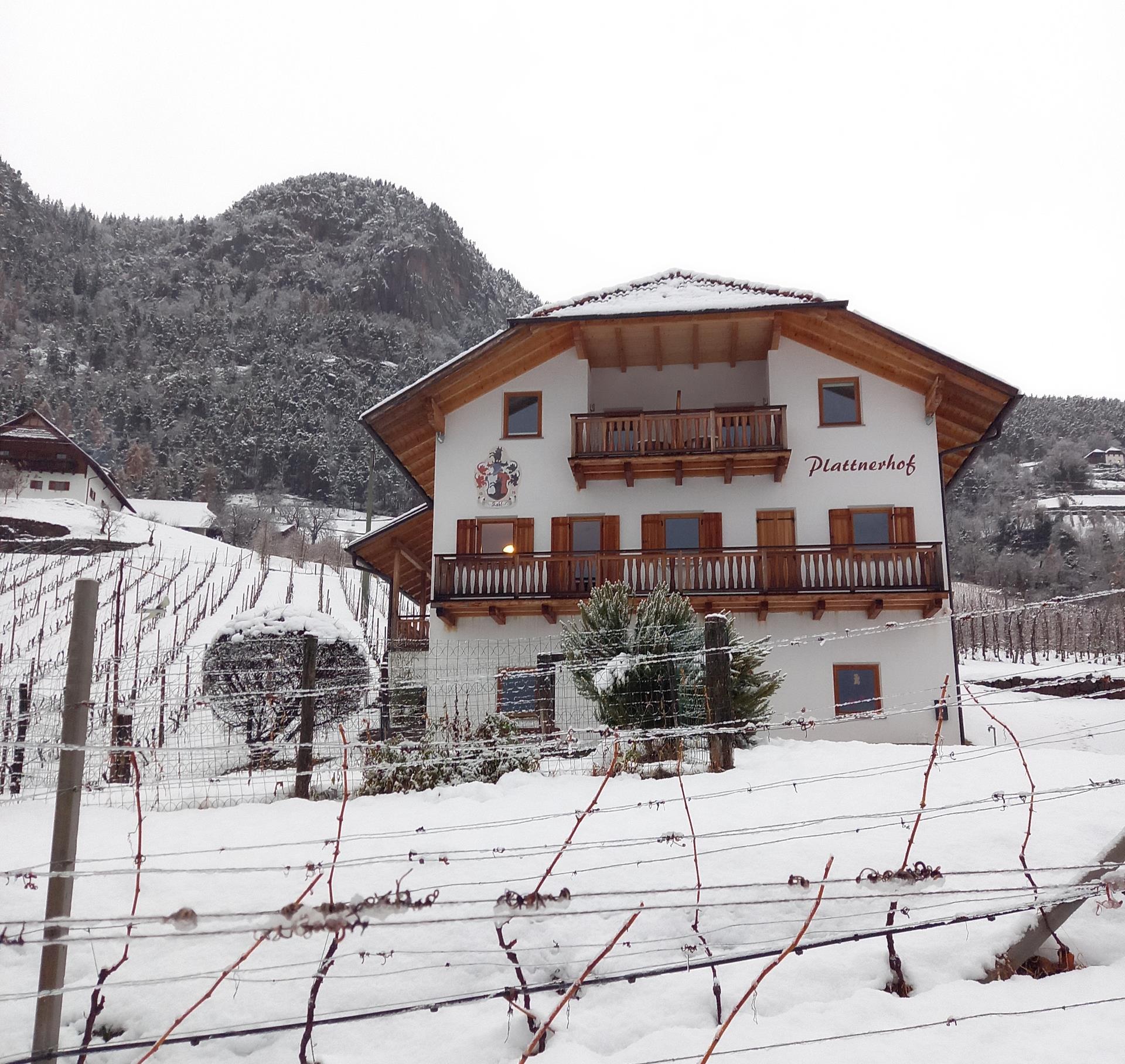 Plattnerhof Ritten 2 suedtirol.info
