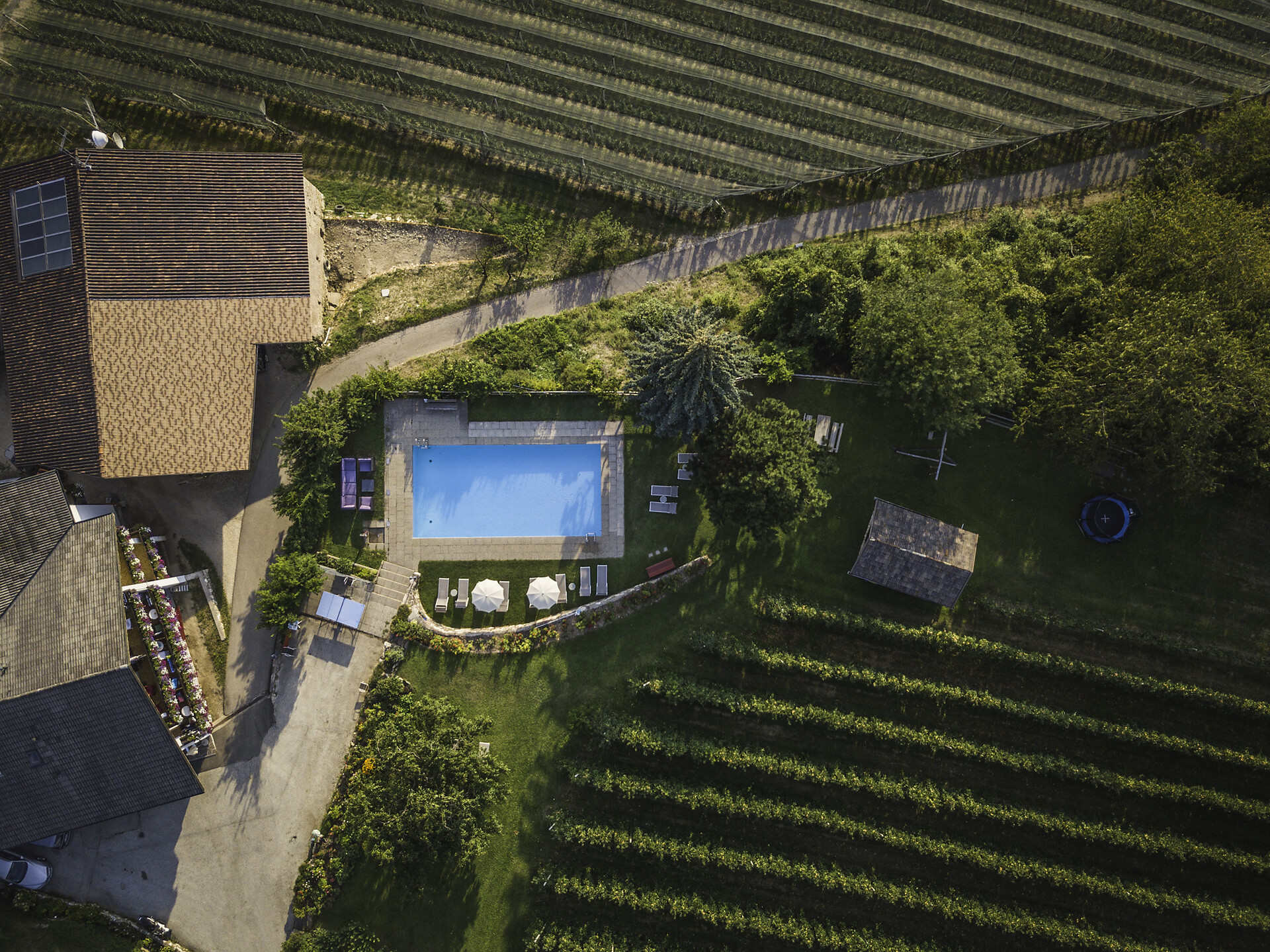 bird's eye view