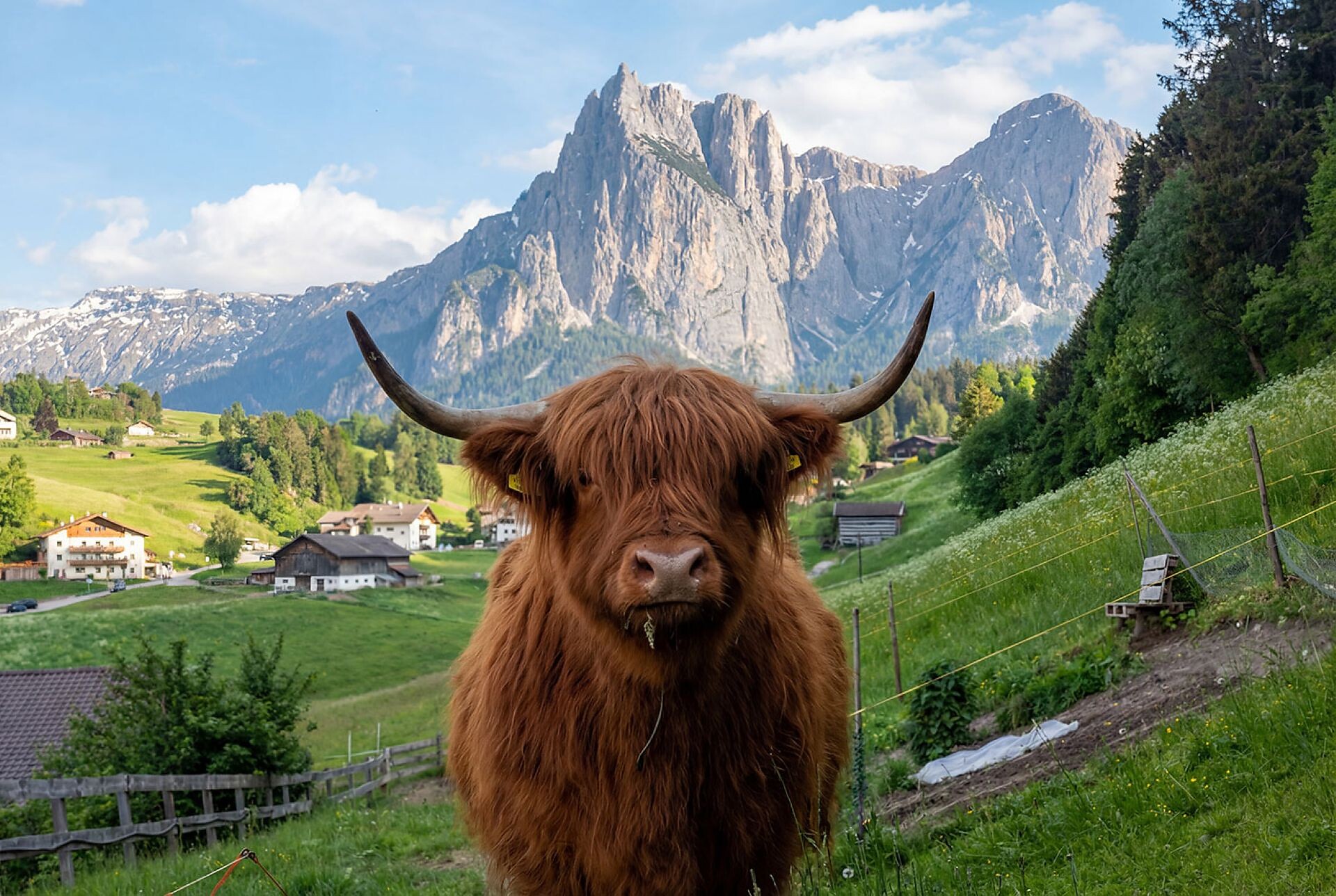 Farm Pilgram - Dolomites Region Seiser Alm - #8 - suedtirol.info