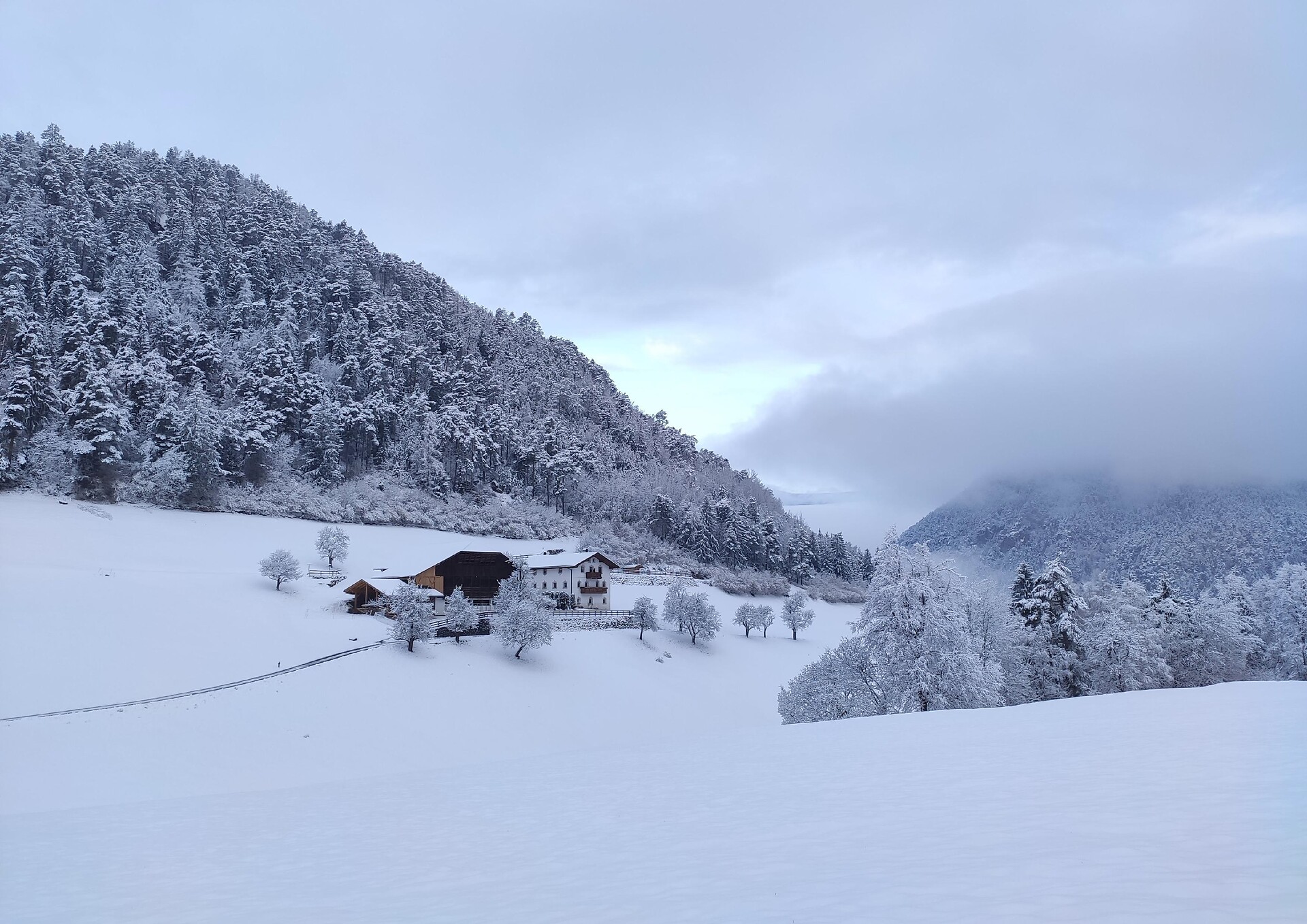 Pilgramhof winter