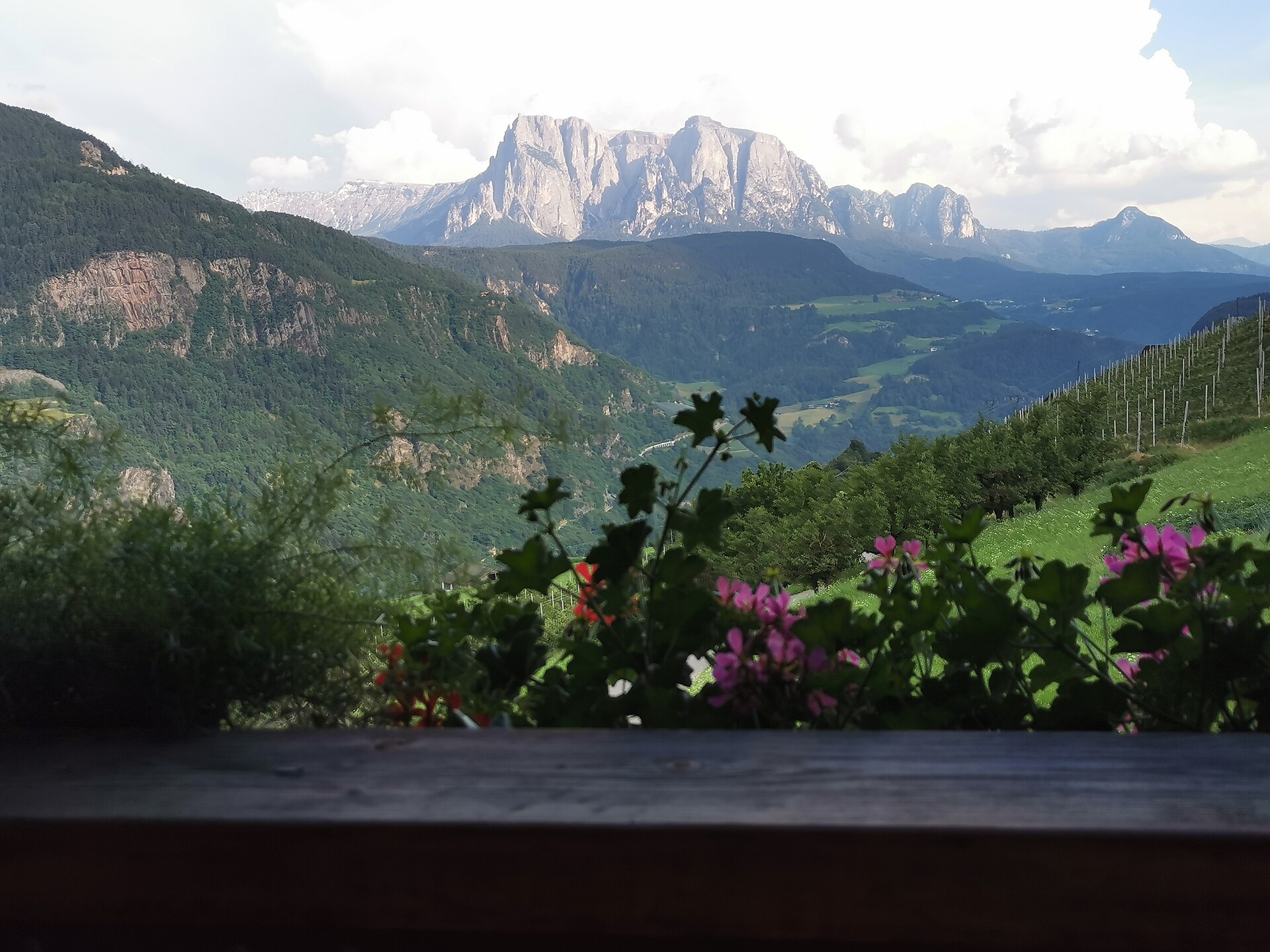 Aussicht Balkon Lavendel