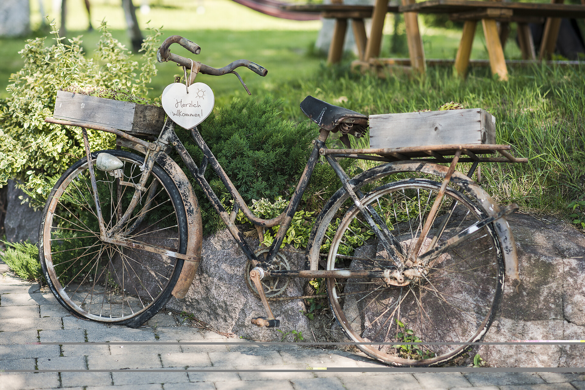 bici romantico