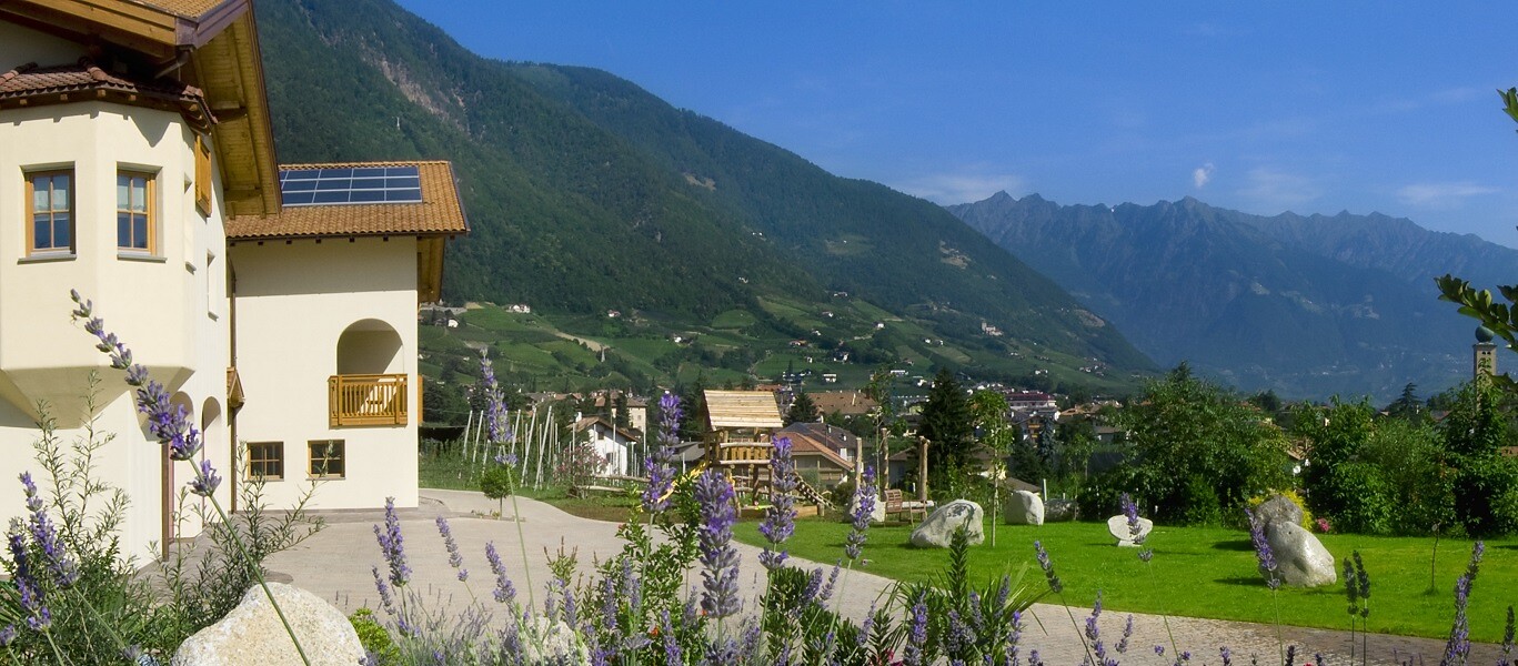 Pschoalhof fioritura lavendel