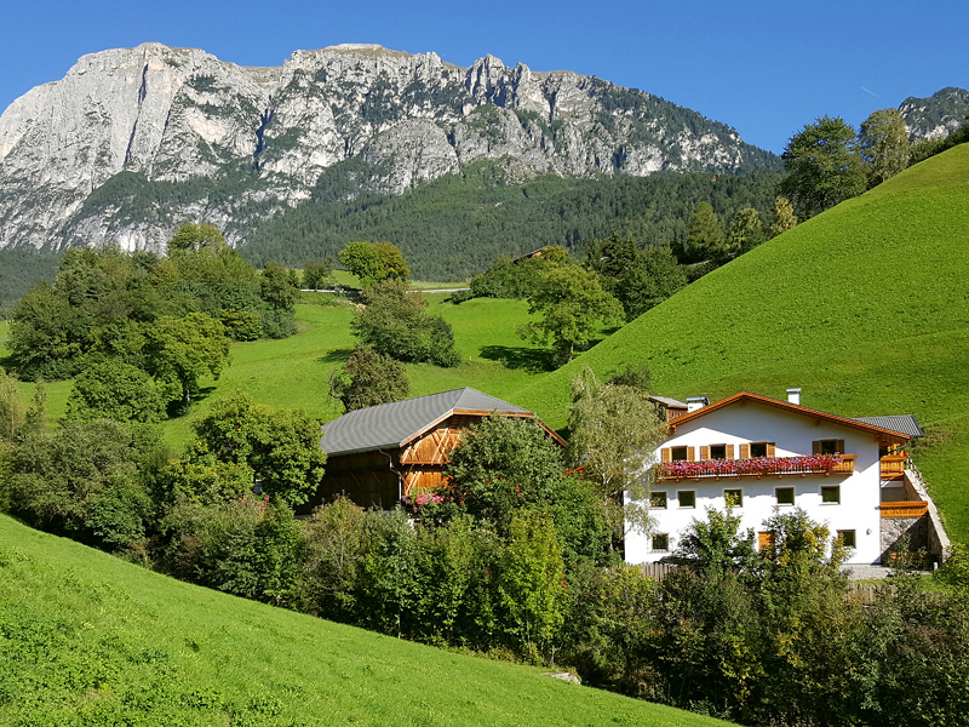 Fram Pecherer