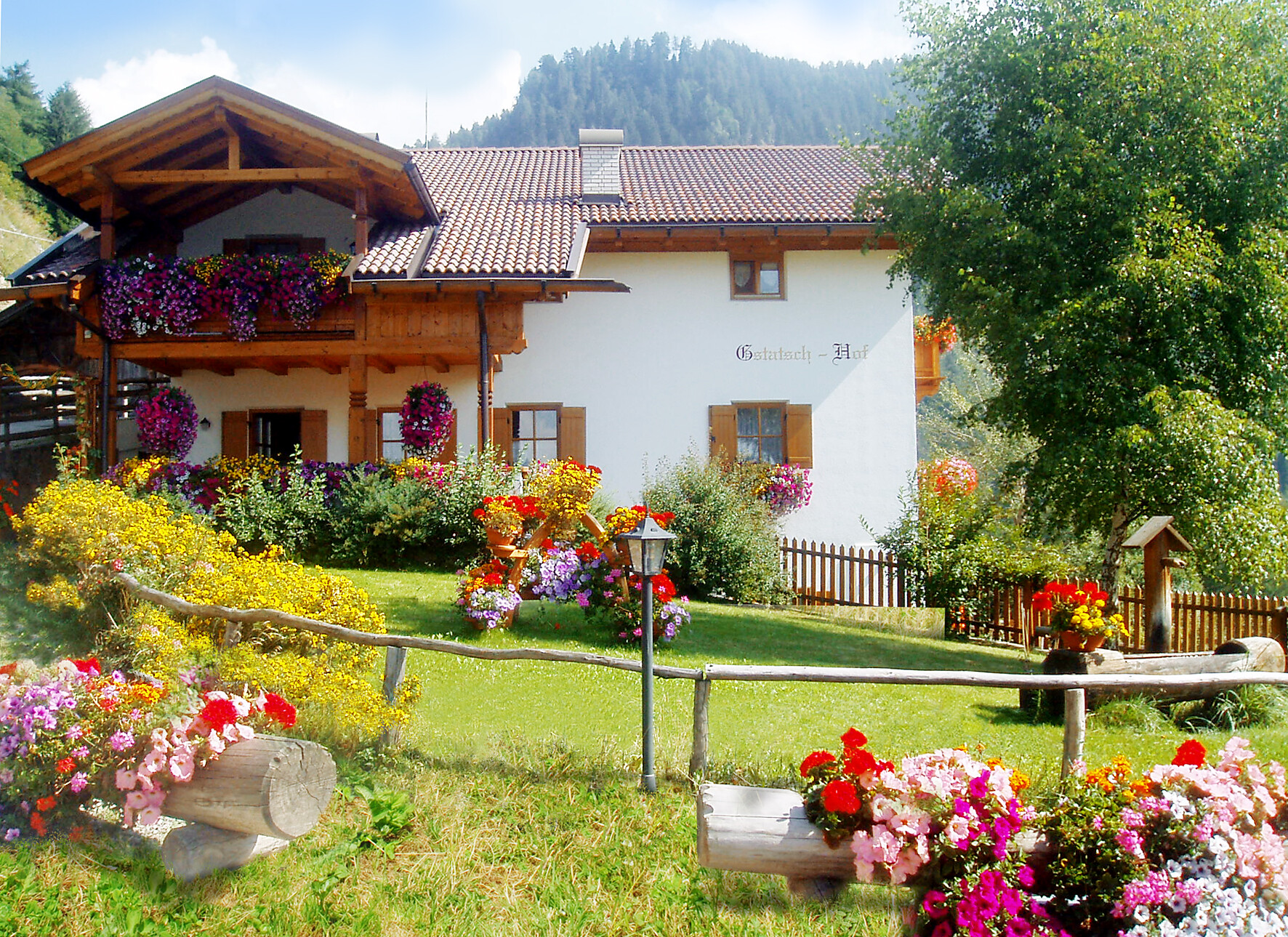 Farm Gstatschhof in summer