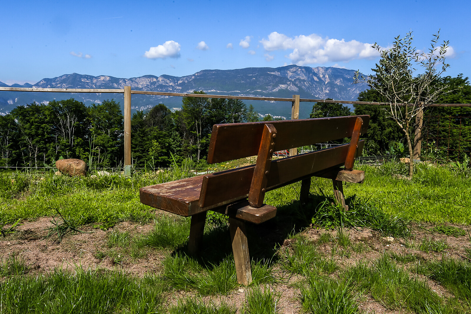 Ausblick
