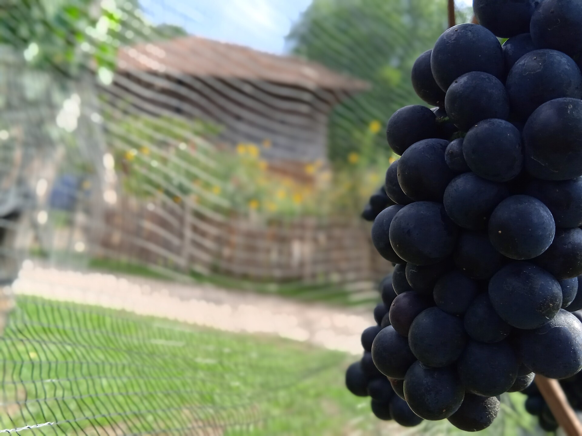 Private Accomodation Rienznerhof - Alto Adige Wine Road - #16 - suedtirol.info