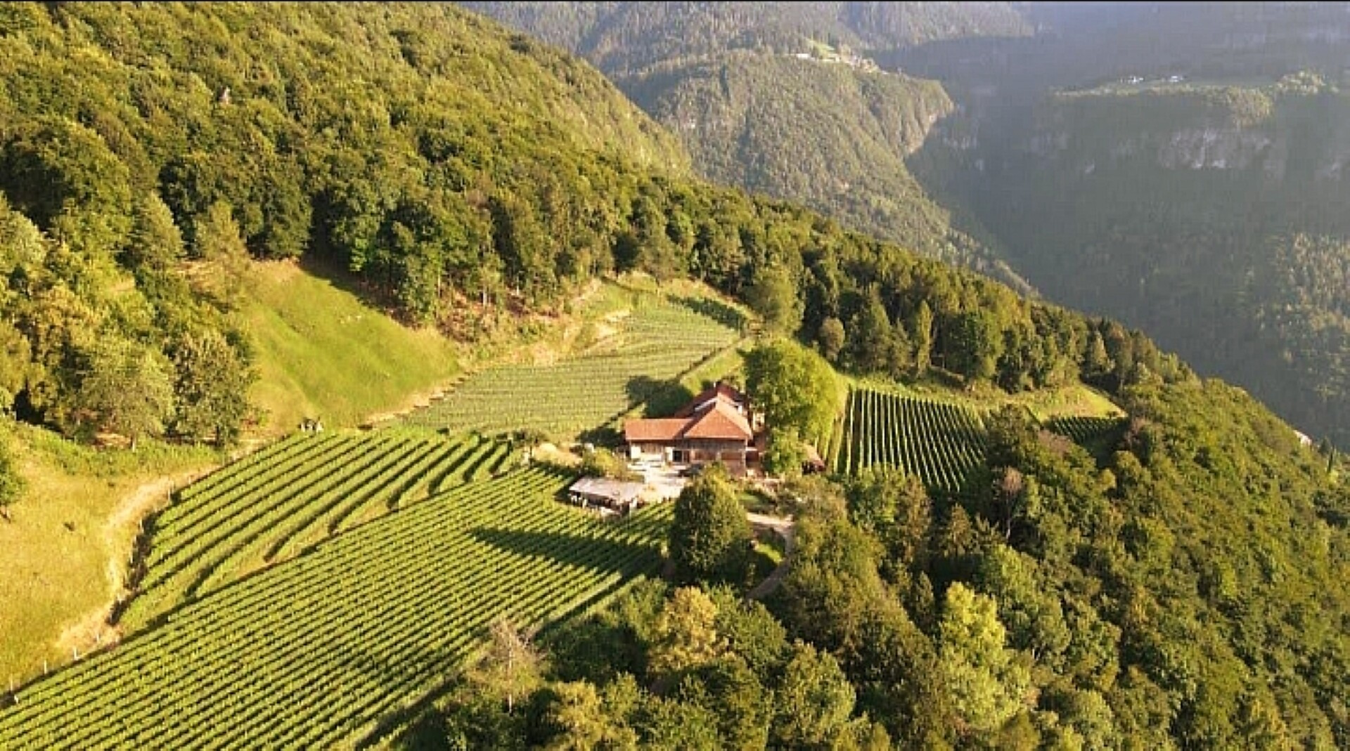 Private Accomodation Rienznerhof - Alto Adige Wine Road - #3 - suedtirol.info