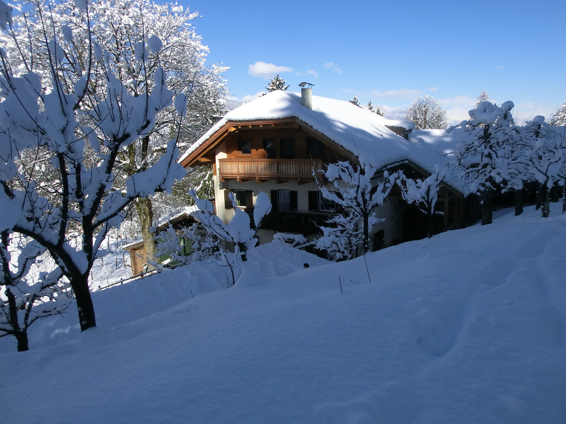 Winter