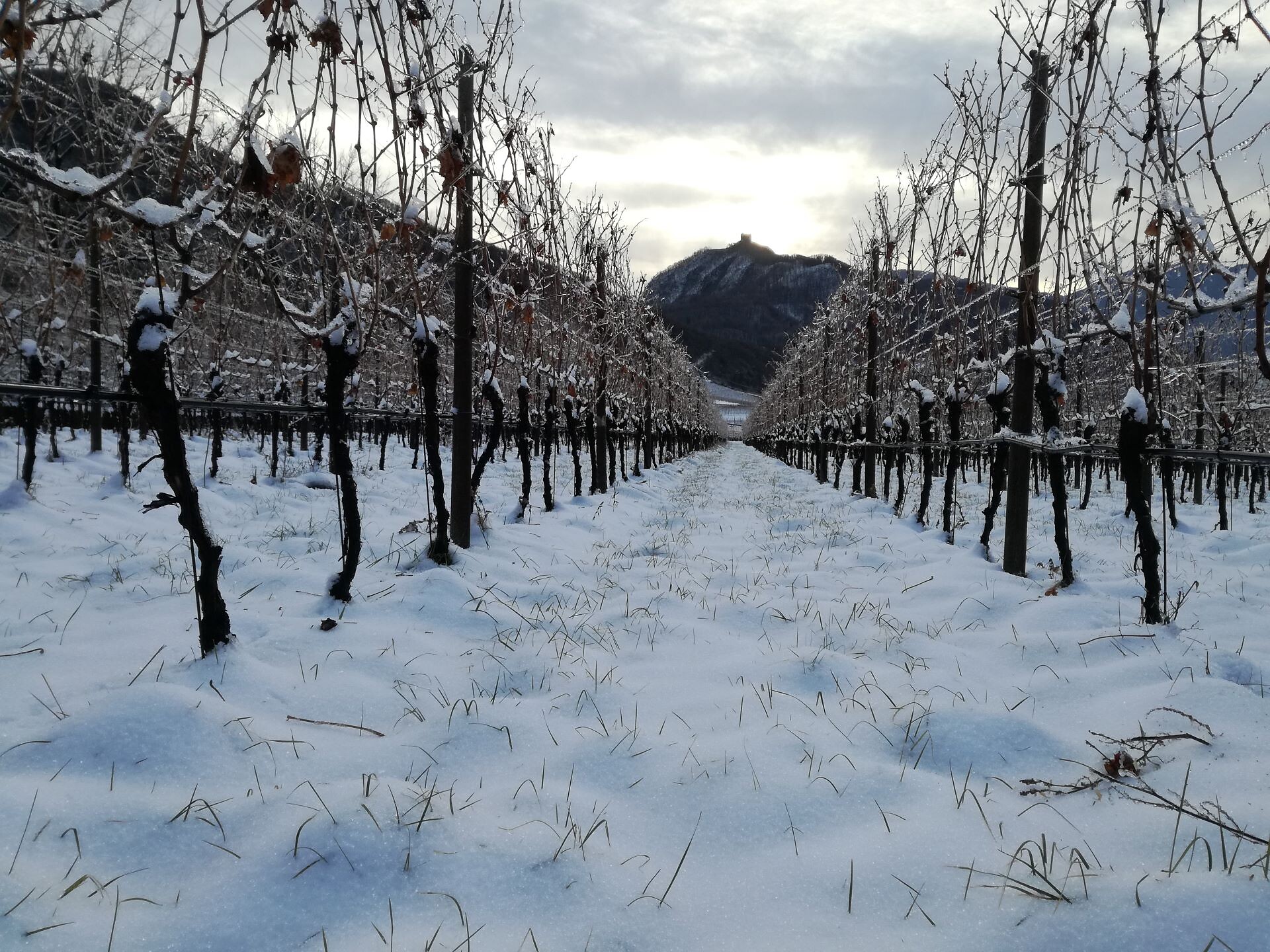 Private Accomodation Rienznerhof - Alto Adige Wine Road - #14 - suedtirol.info