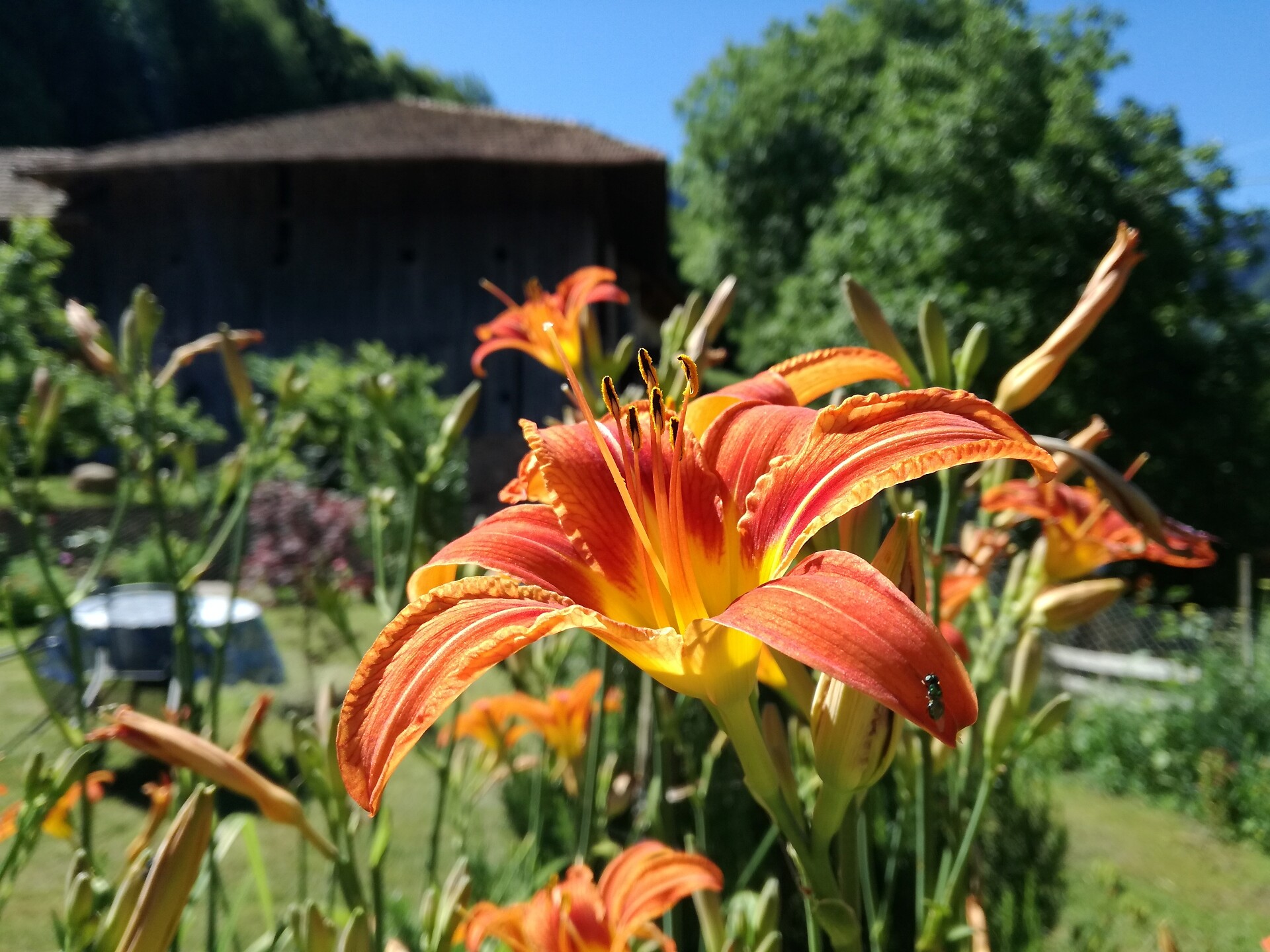 Private Accomodation Rienznerhof - Alto Adige Wine Road - #12 - suedtirol.info