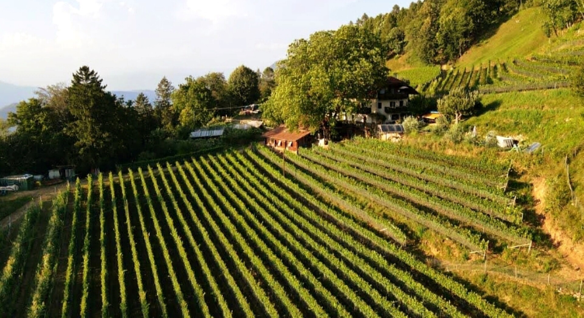 Private Accomodation Rienznerhof - Alto Adige Wine Road - #6 - suedtirol.info