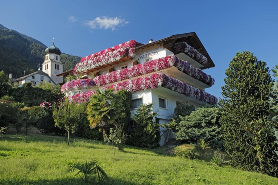 Pensione Weinberg Rifiano 9 suedtirol.info