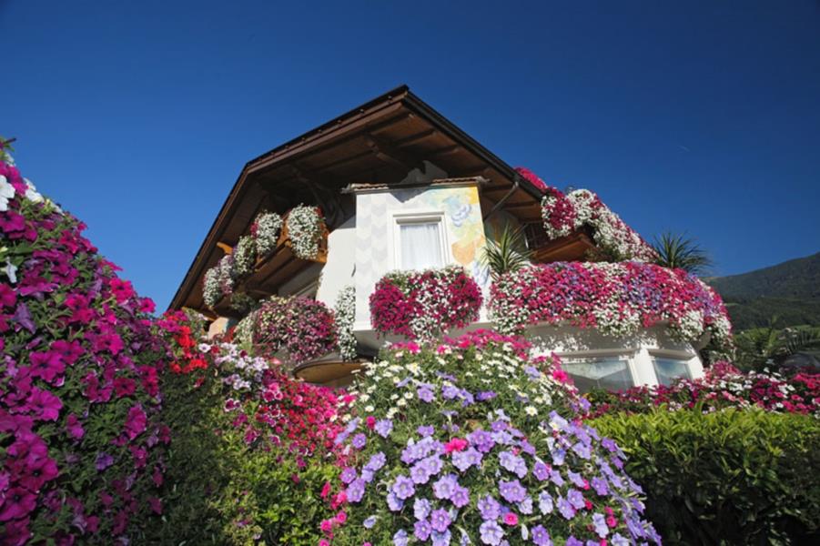Pensione Weinberg Rifiano 10 suedtirol.info