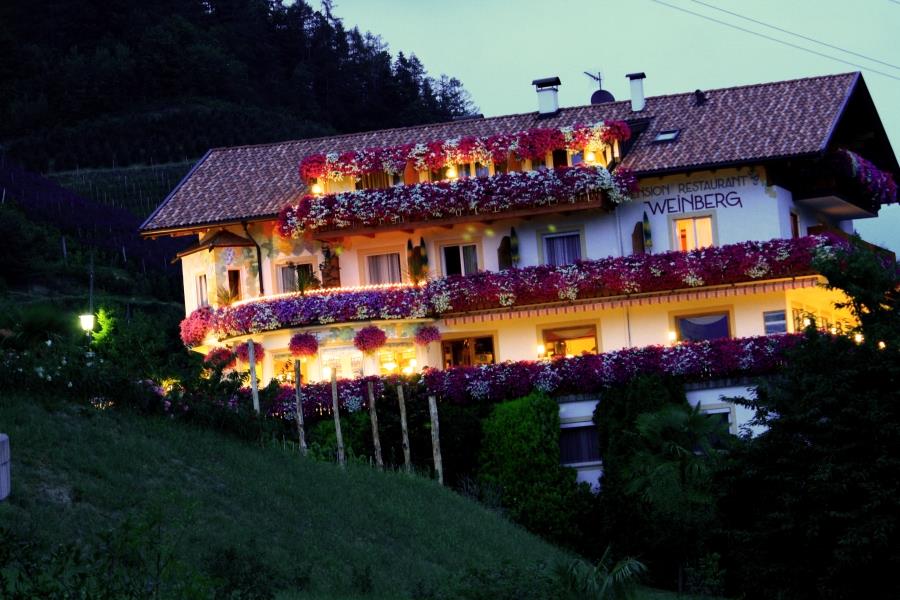 Pensione Weinberg Rifiano 11 suedtirol.info