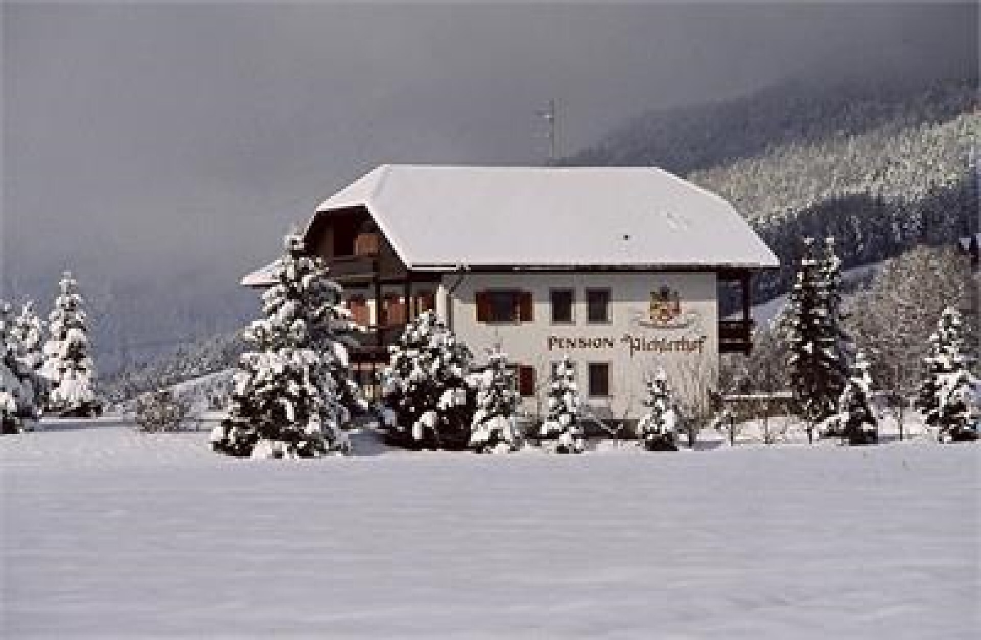 winter