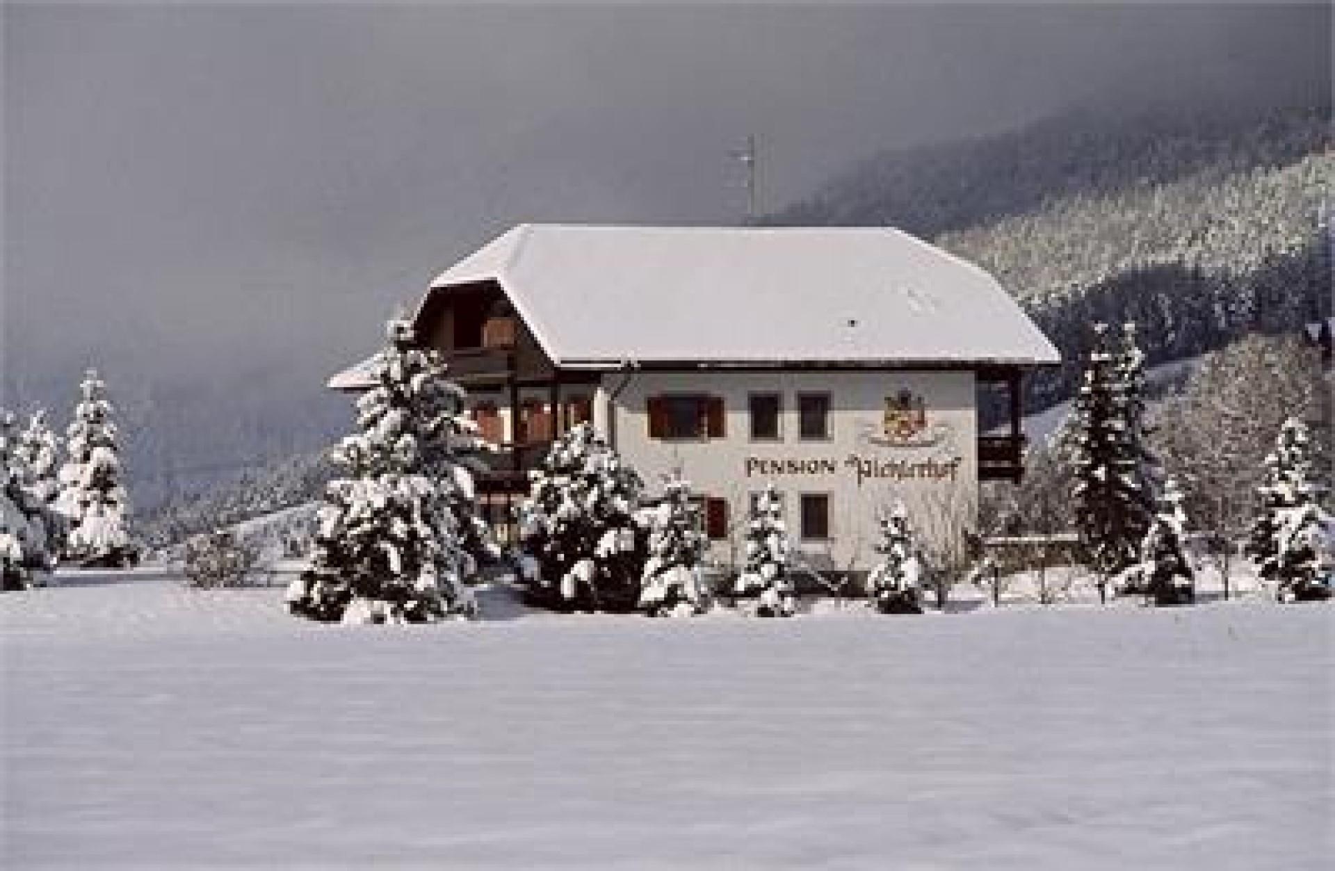 Pension Pichlerhof Bruneck 2 suedtirol.info