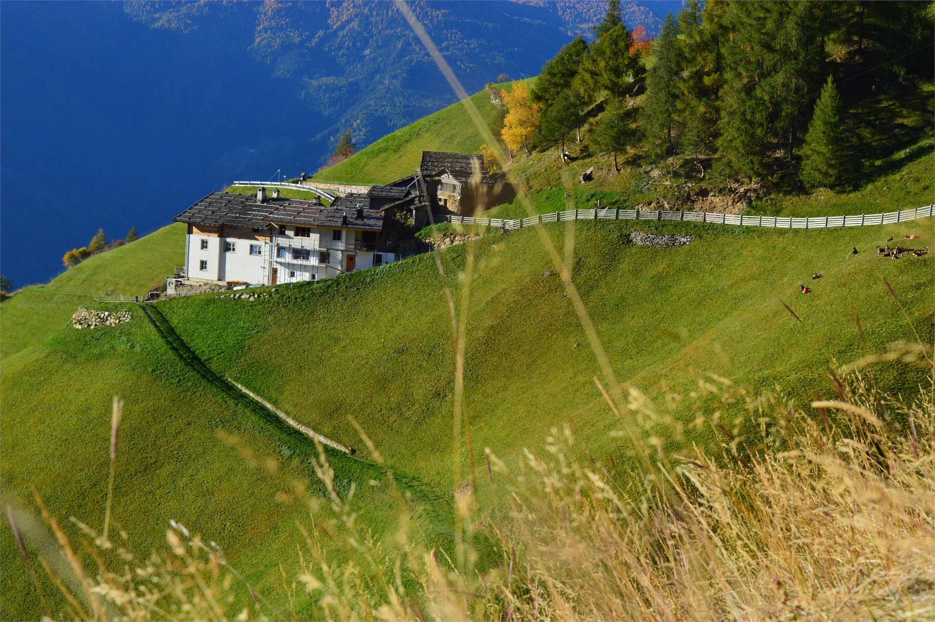 Pirchhof Naturns/Naturno 5 suedtirol.info