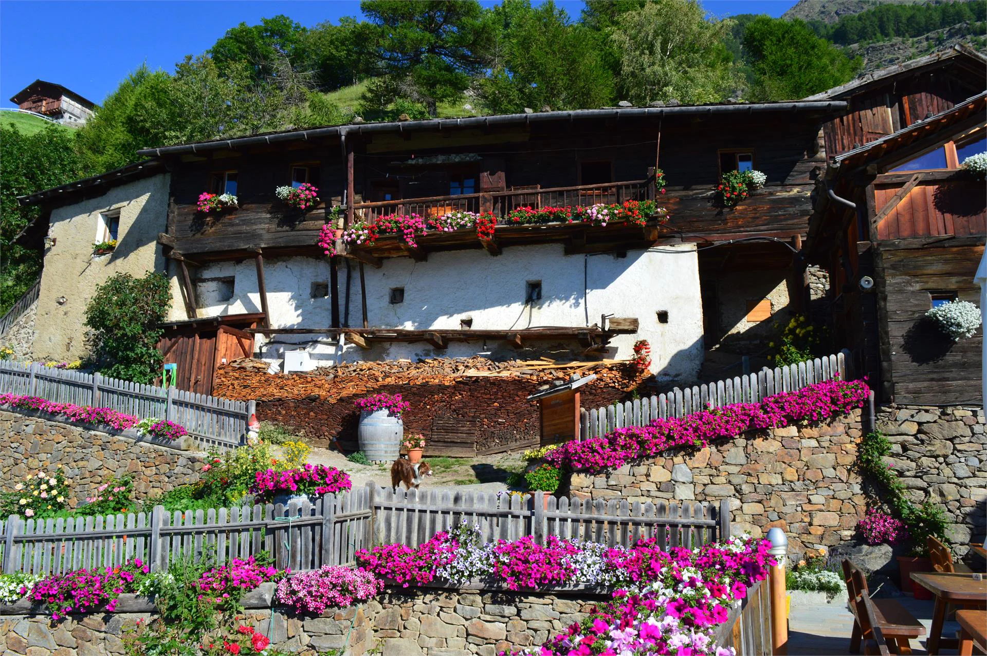 Pirchhof Naturns/Naturno 3 suedtirol.info