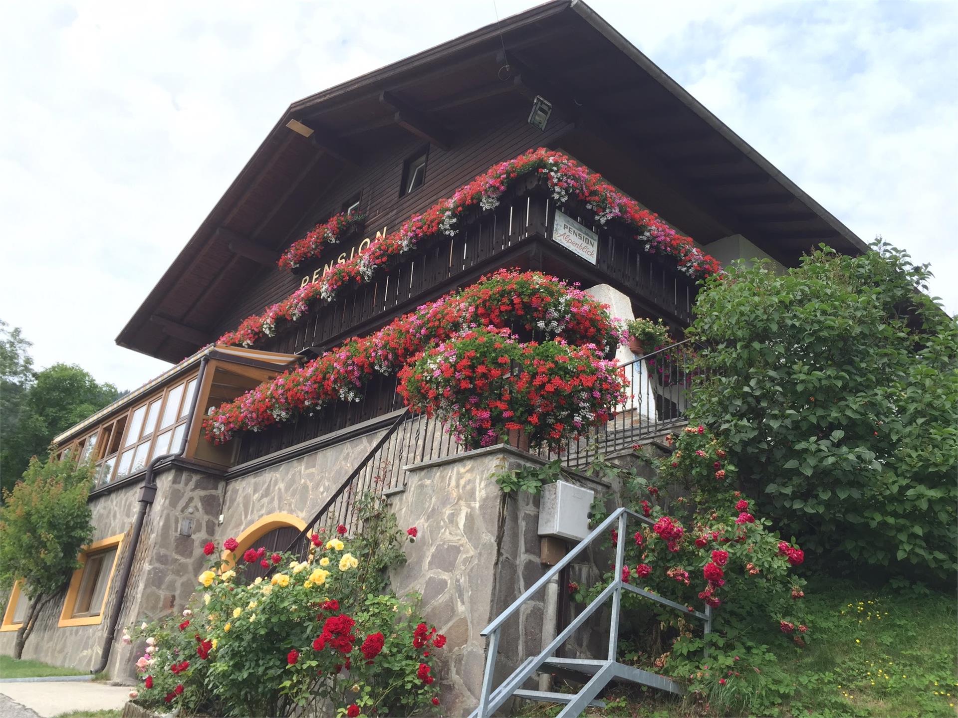 Pensione Alpenblick Vipiteno 1 suedtirol.info