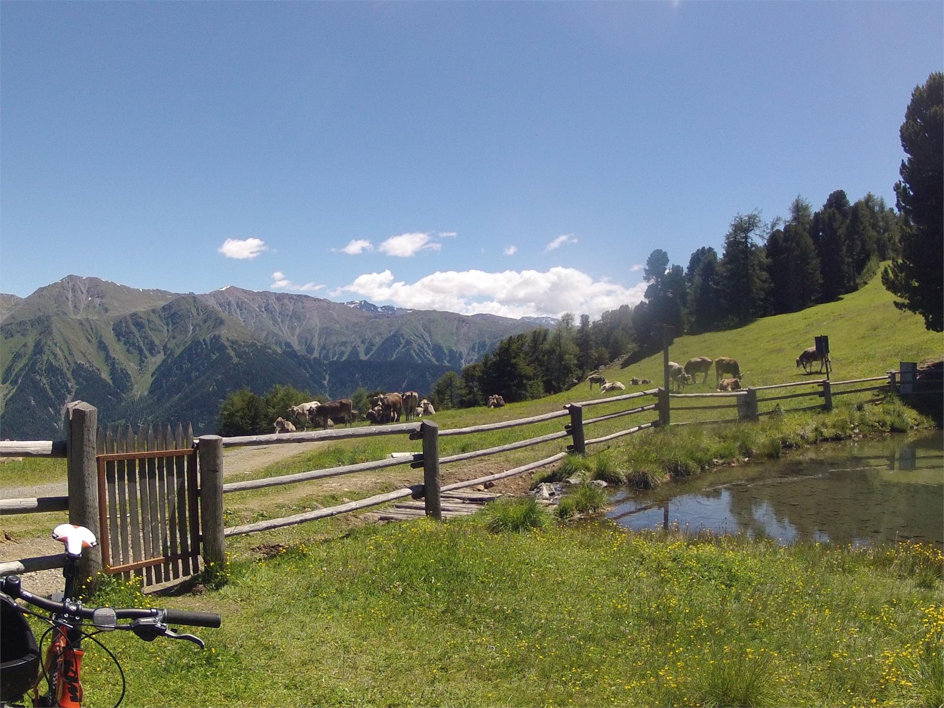 Pension Tirol Graun im Vinschgau/Curon Venosta 3 suedtirol.info