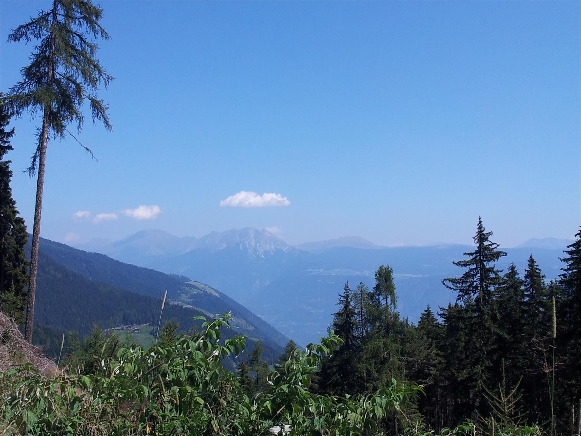 Pension Hilpold Lana 14 suedtirol.info