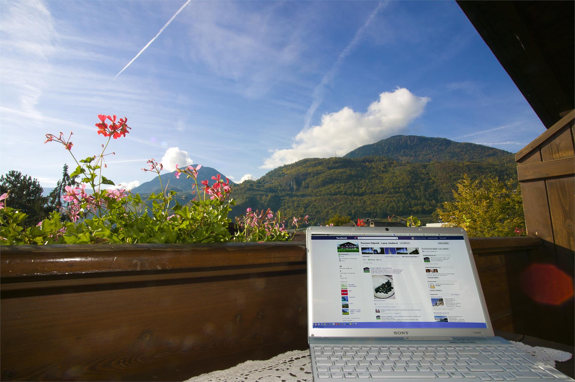 Pension Hilpold Lana 10 suedtirol.info