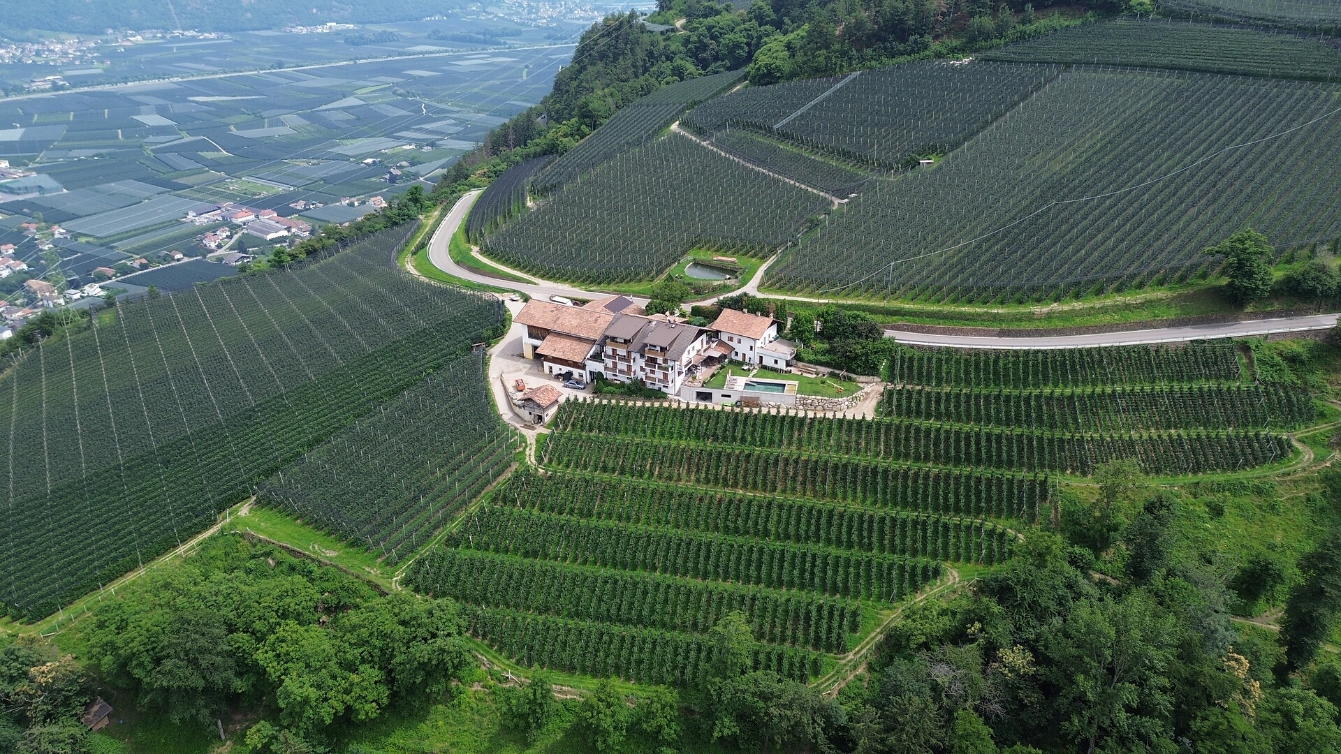 Plateidhof