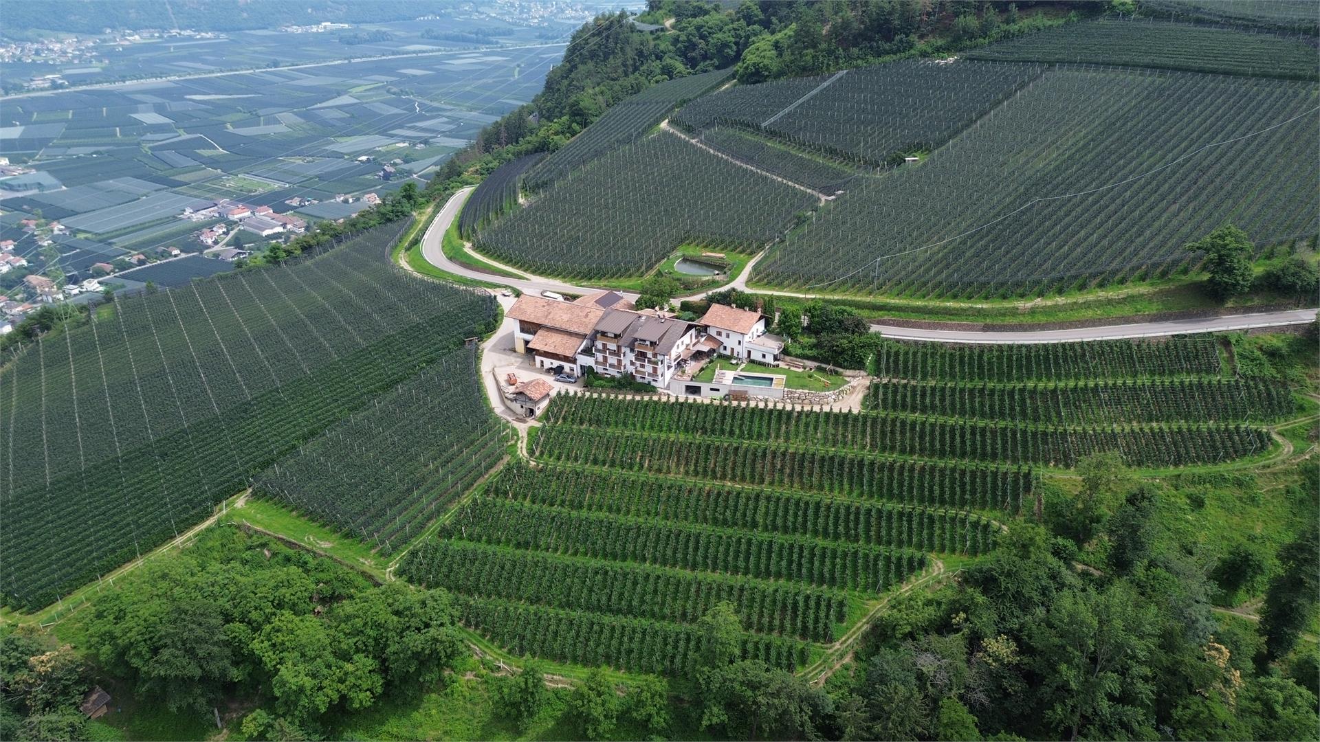 Plateidhof Lana 6 suedtirol.info