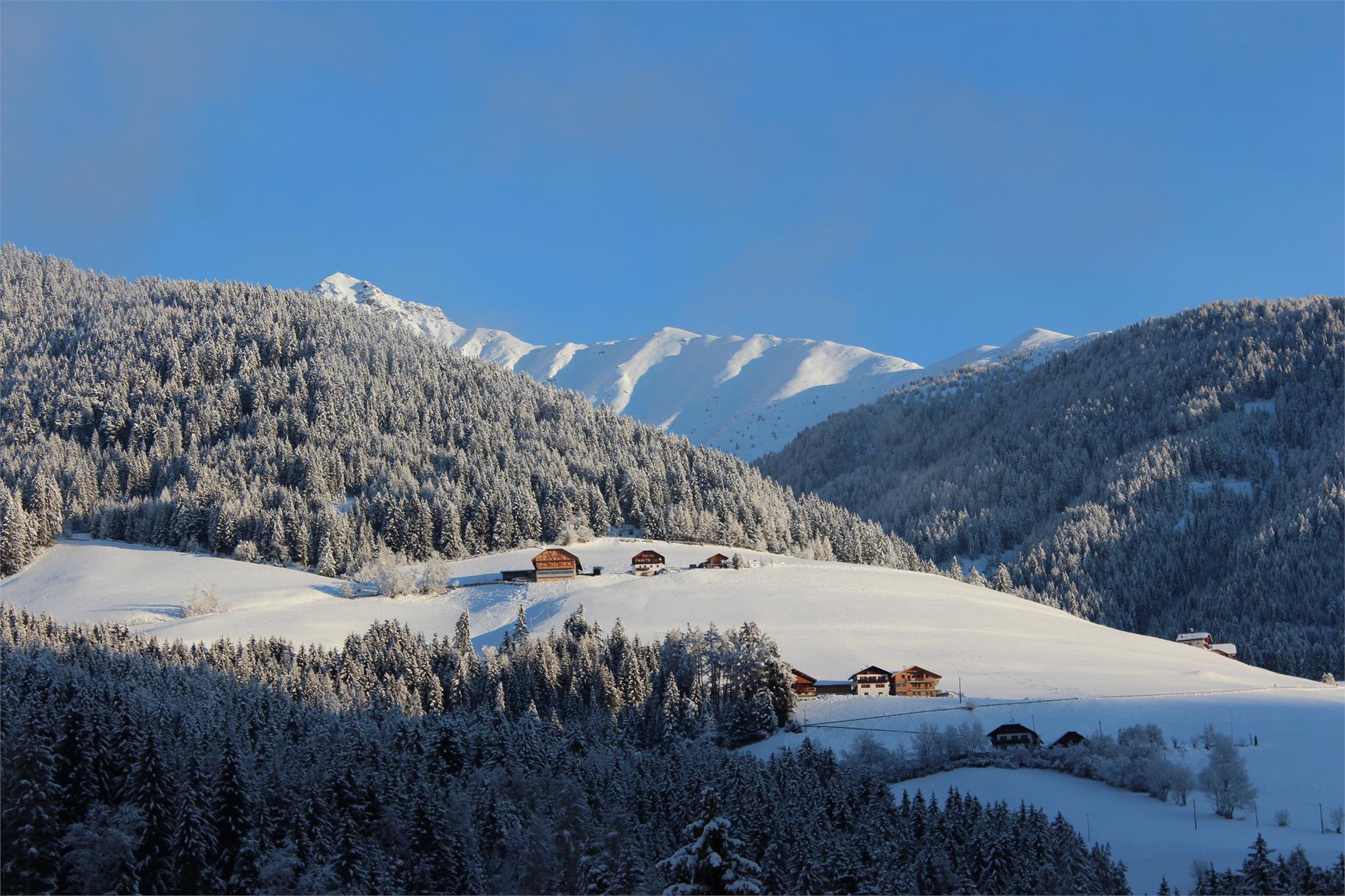 Pension Moserhof & Dependance Terenten 4 suedtirol.info