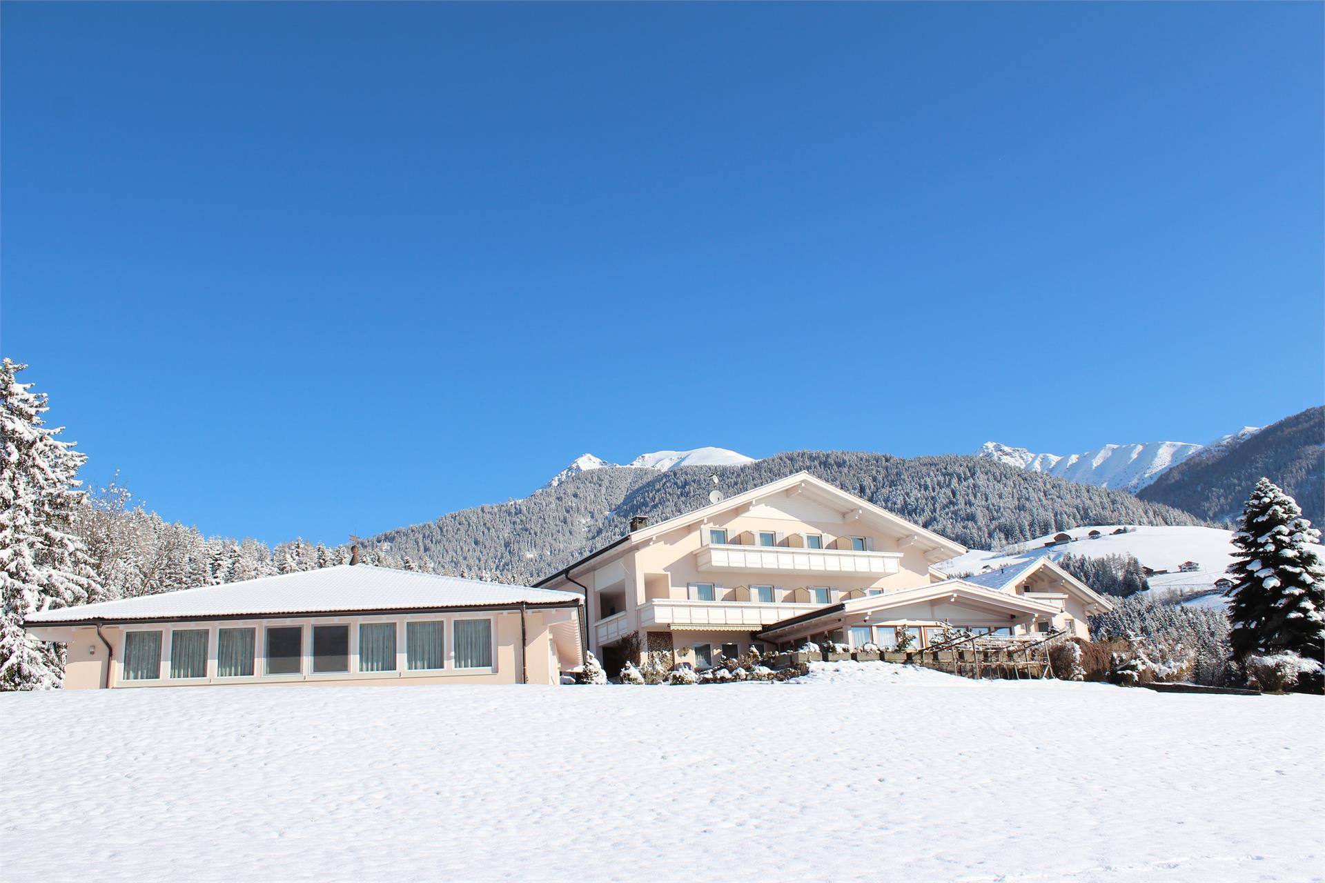 Pension Moserhof & Dependance Terenten 2 suedtirol.info