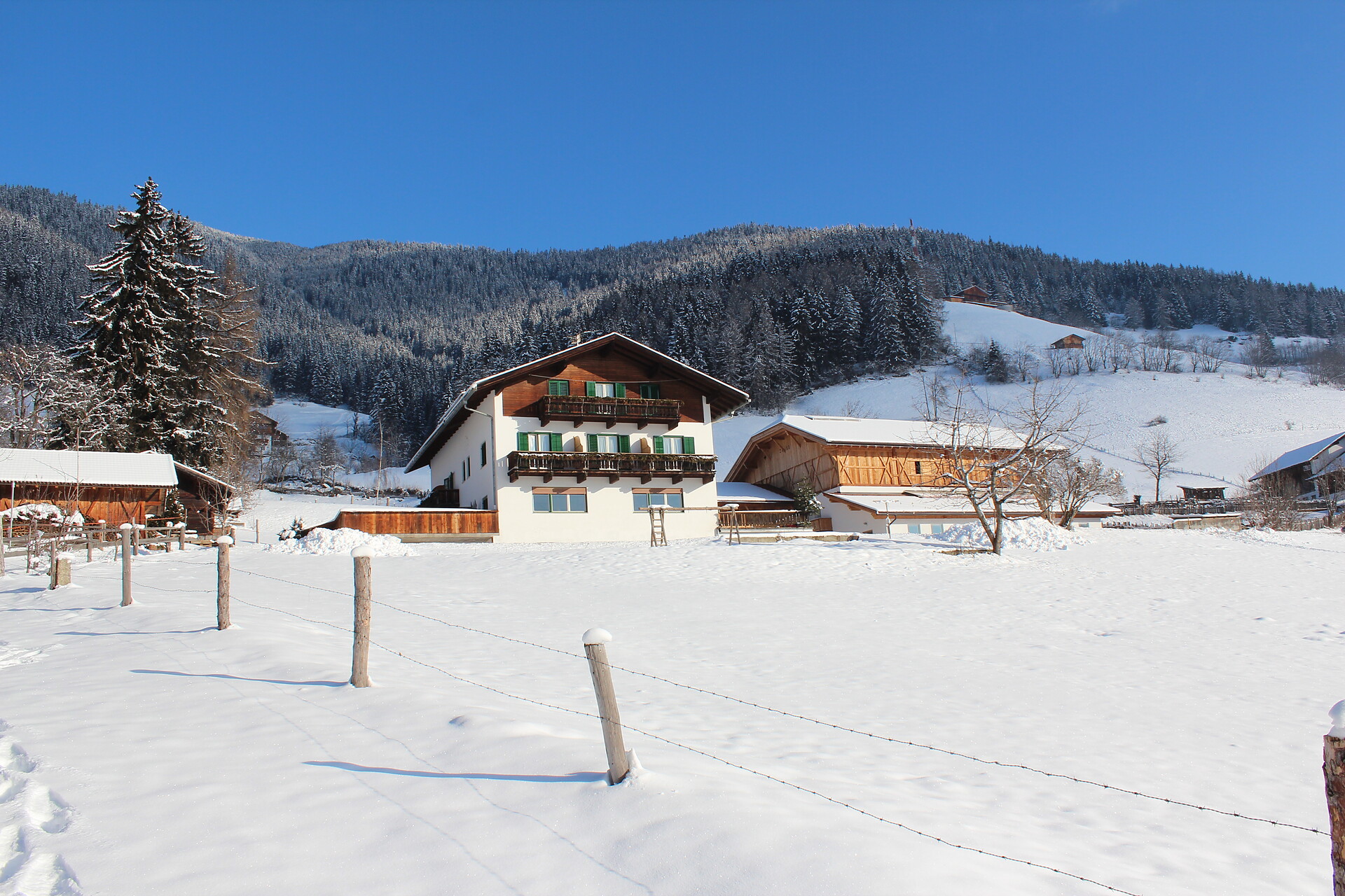 Moarhof