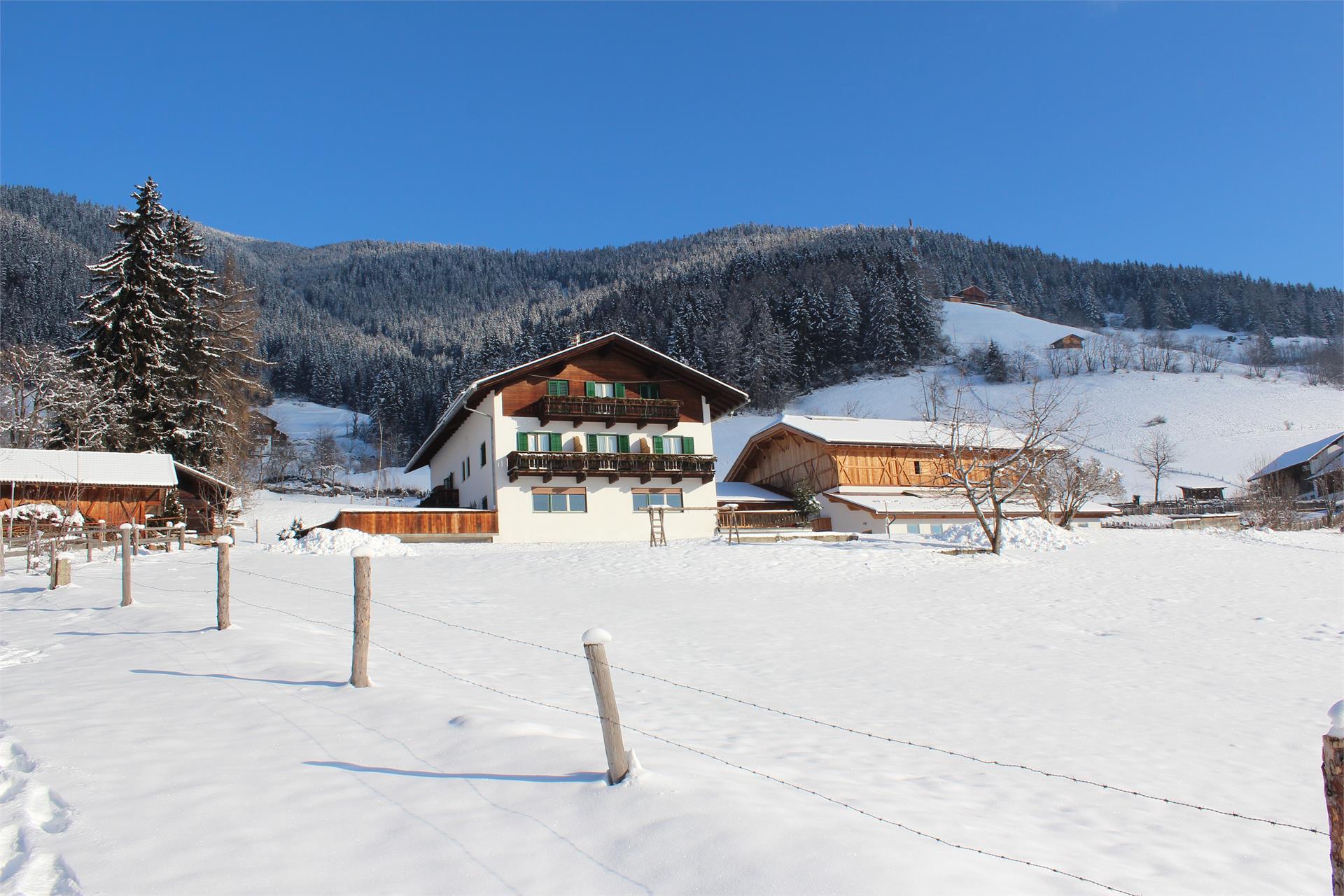 Pension Moarhof Terenten/Terento 5 suedtirol.info
