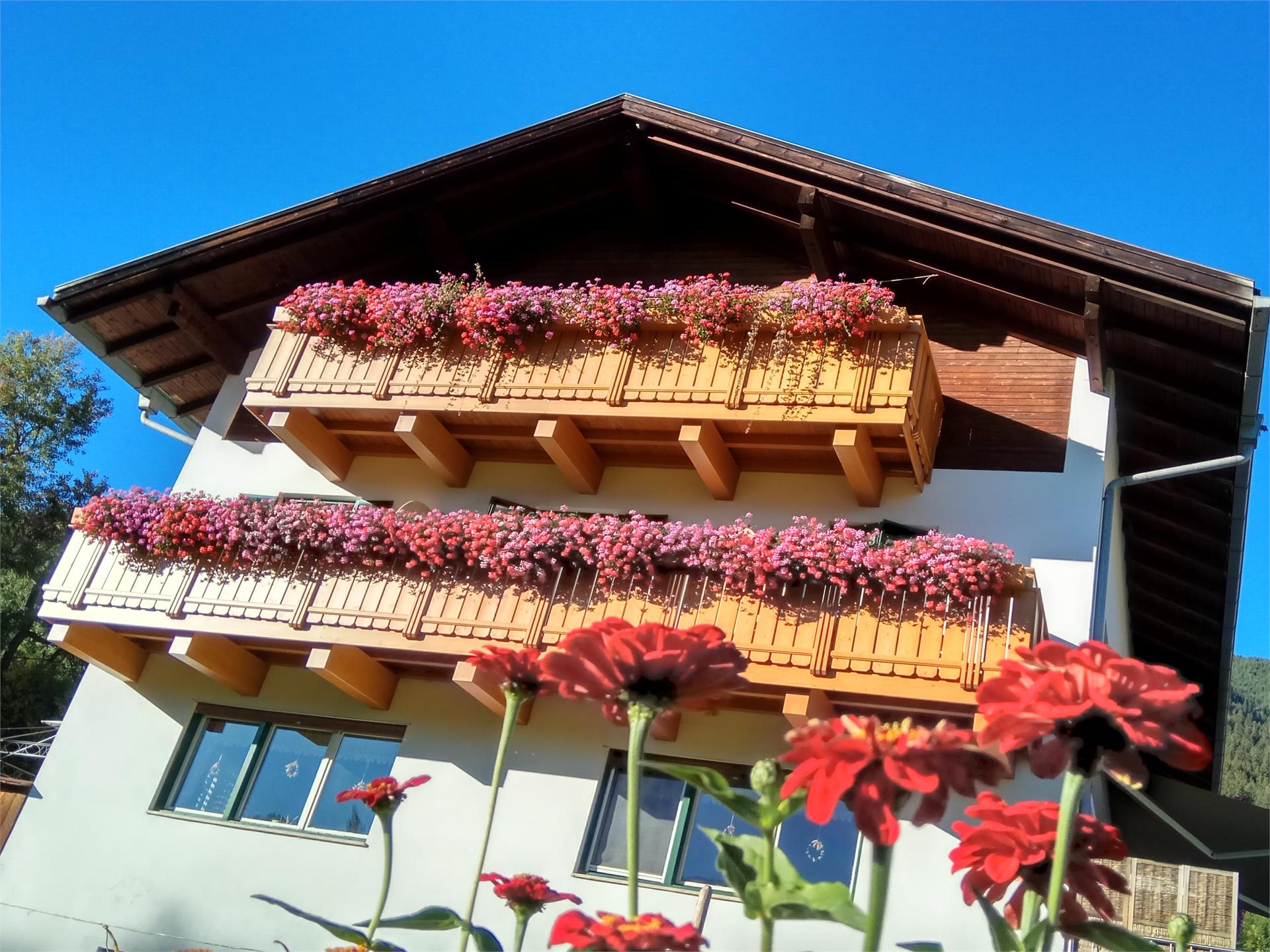 Pension Moarhof Terenten/Terento 1 suedtirol.info