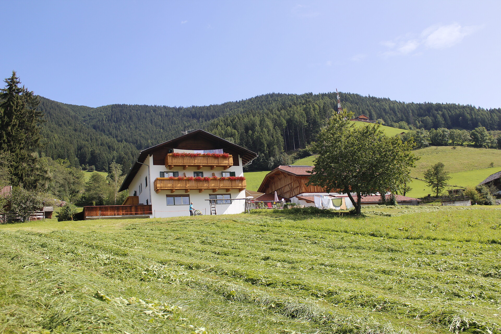 Moarhof