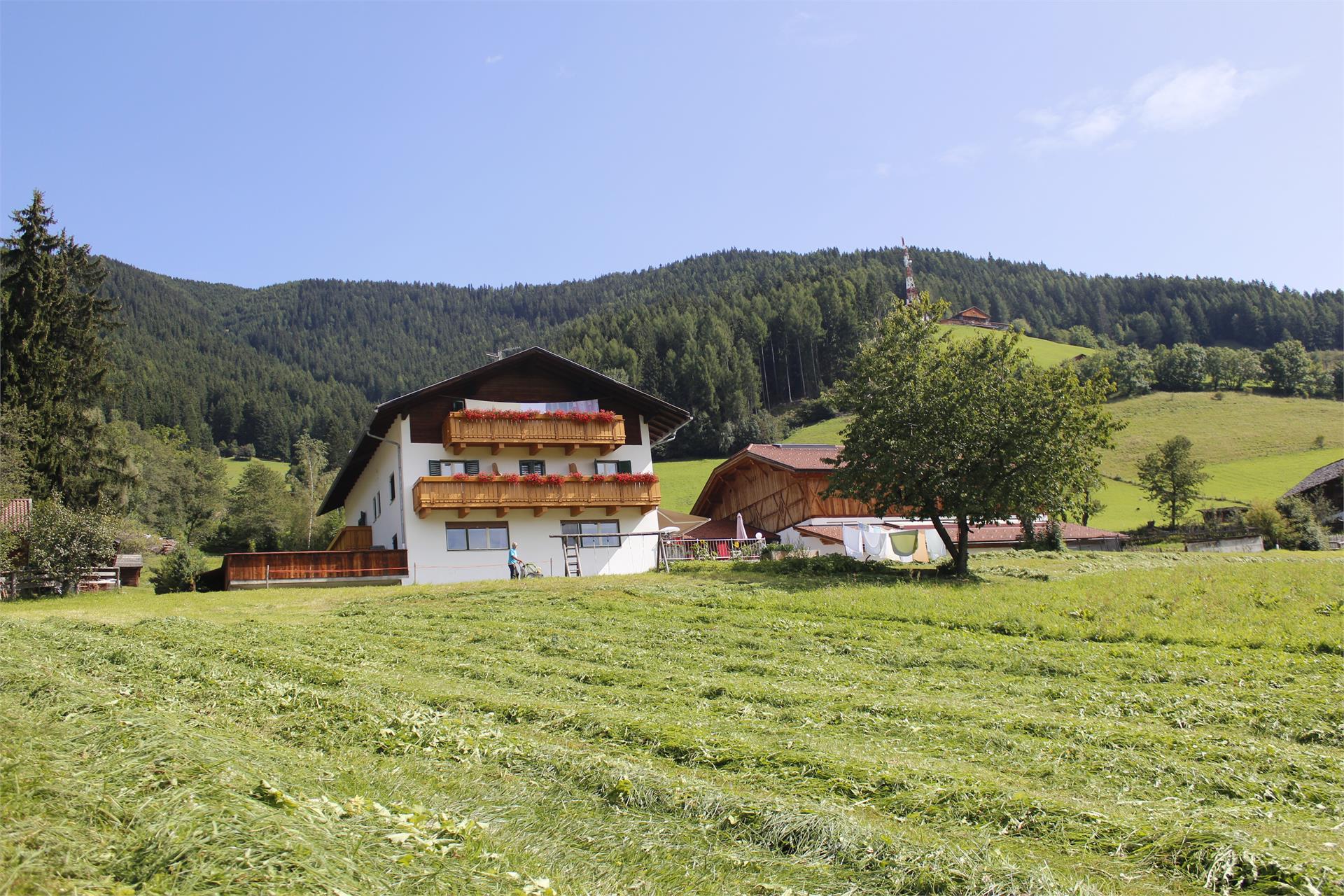 Pension Moarhof Terenten/Terento 9 suedtirol.info