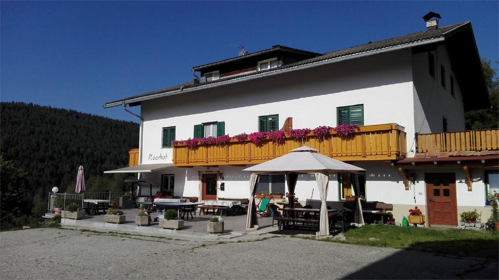 Pension Moarhof Terenten/Terento 23 suedtirol.info