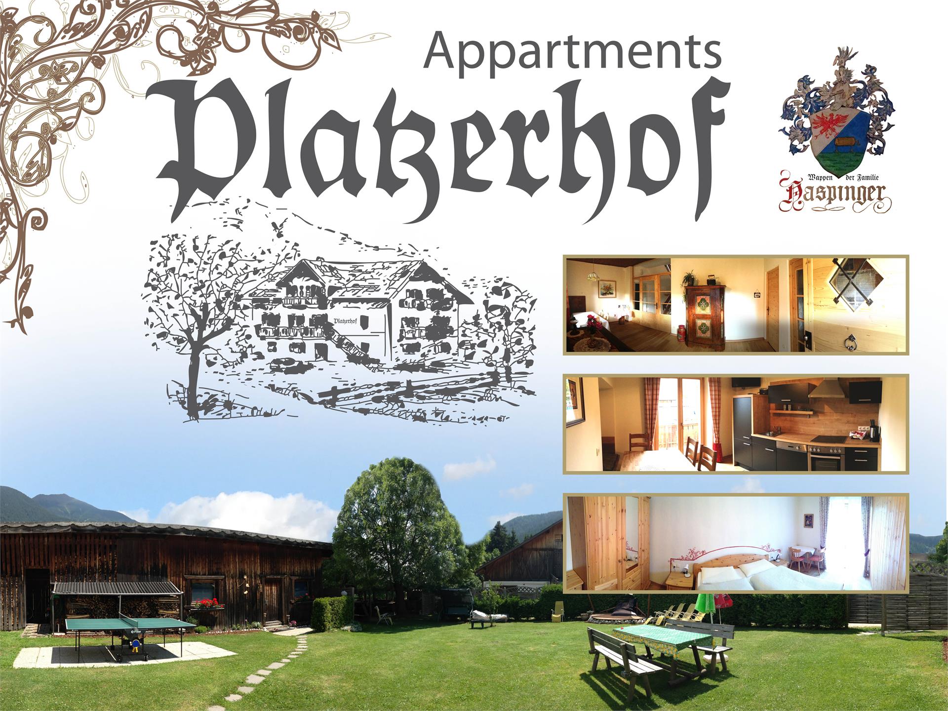 Platzerhof Welsberg-Taisten 1 suedtirol.info
