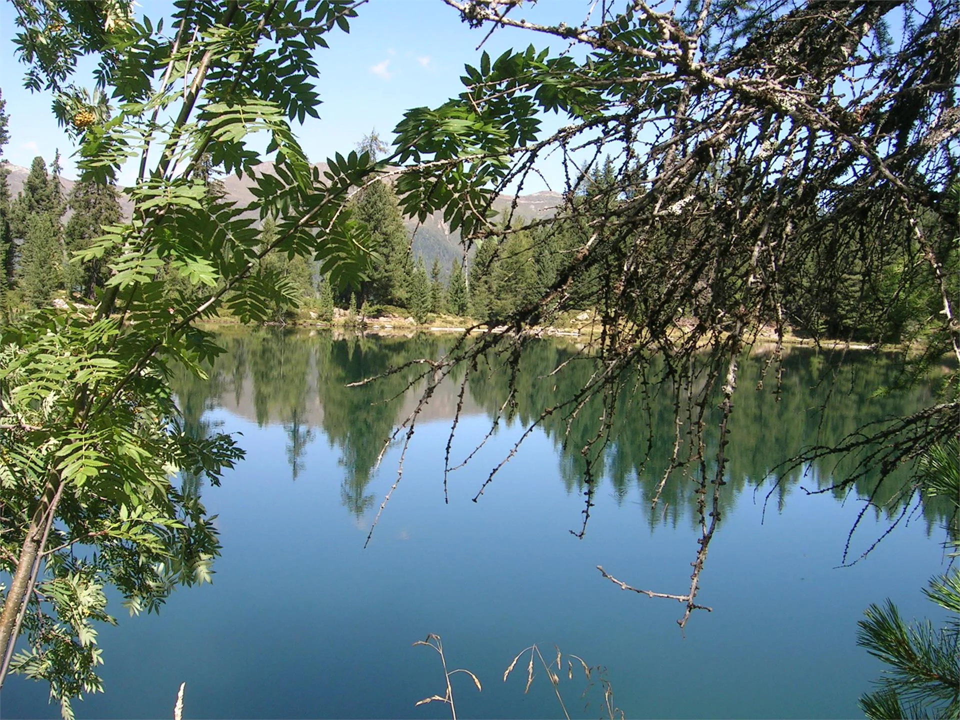 Pensione Oberwirt Selva dei Molini 9 suedtirol.info