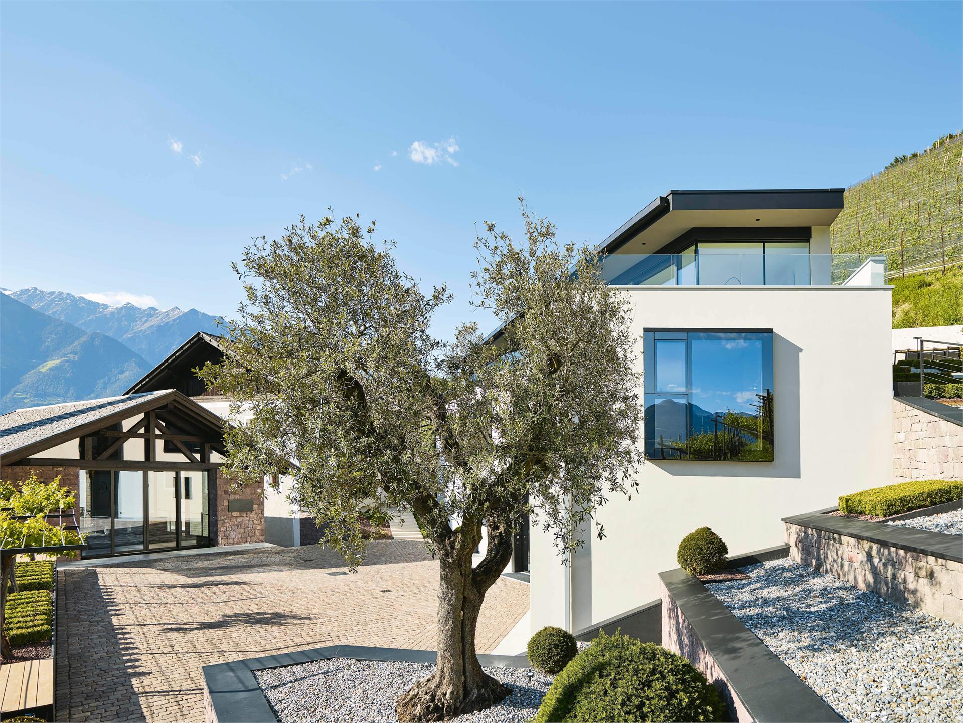 Pratenberg Wine Lodge Merano 2 suedtirol.info