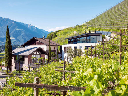 Pratenberg Wine Lodge Merano 1 suedtirol.info