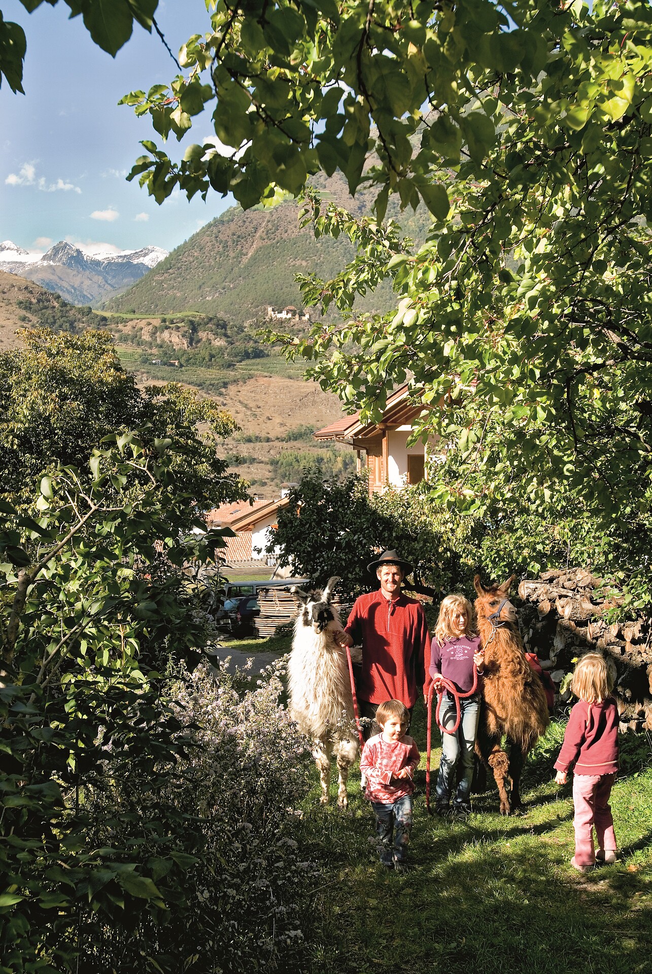 Pension Baumgarten Naturns 23 suedtirol.info