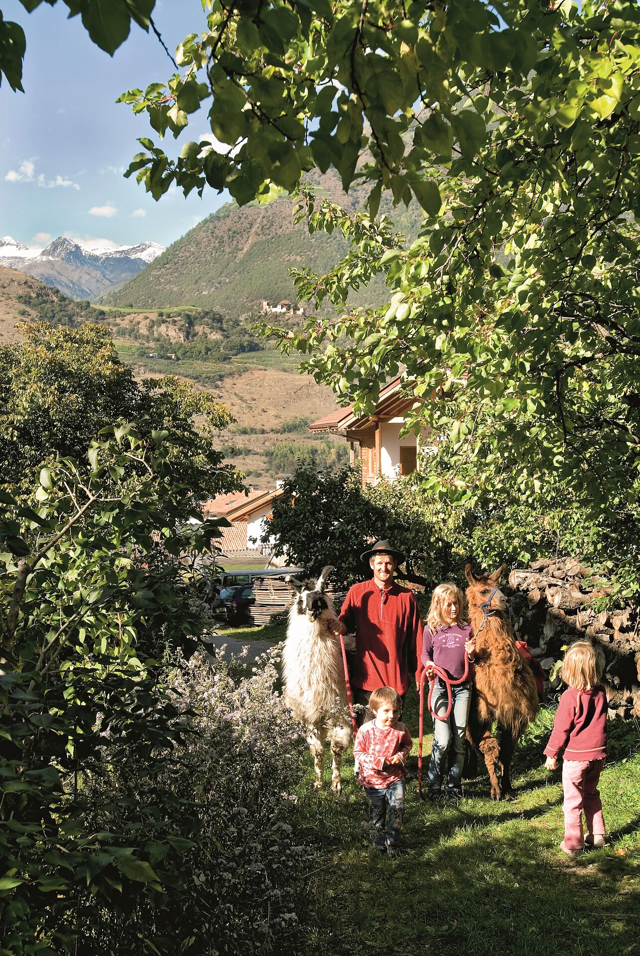 Pensione Baumgarten Naturno 23 suedtirol.info