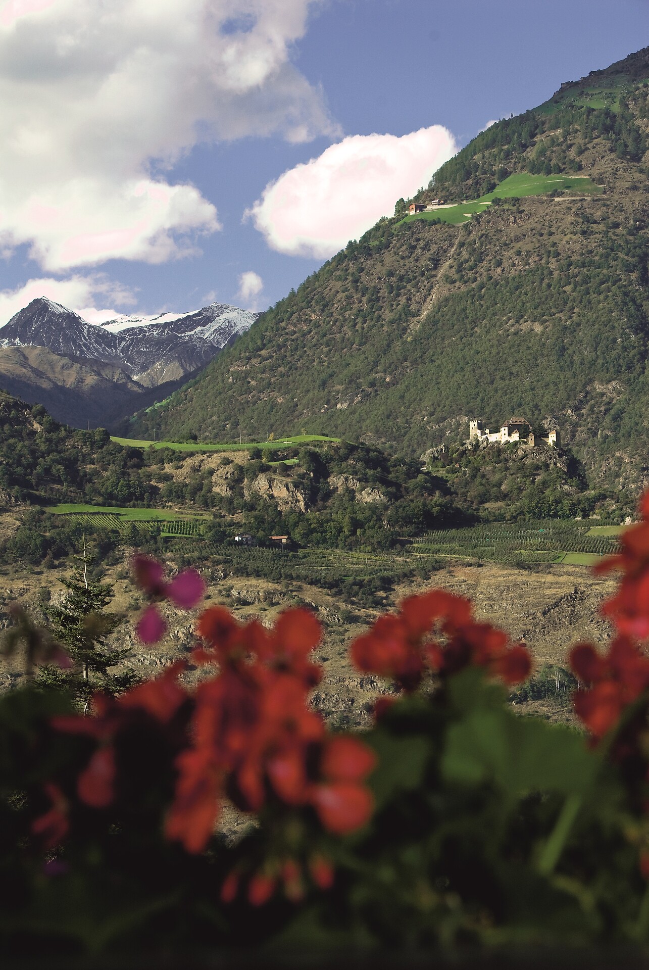 Pension Baumgarten Naturns 22 suedtirol.info