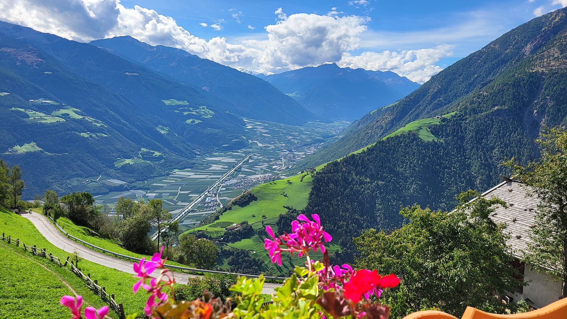 Our Patleidhof