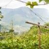 Pension Bergmann Burgstall 5 suedtirol.info