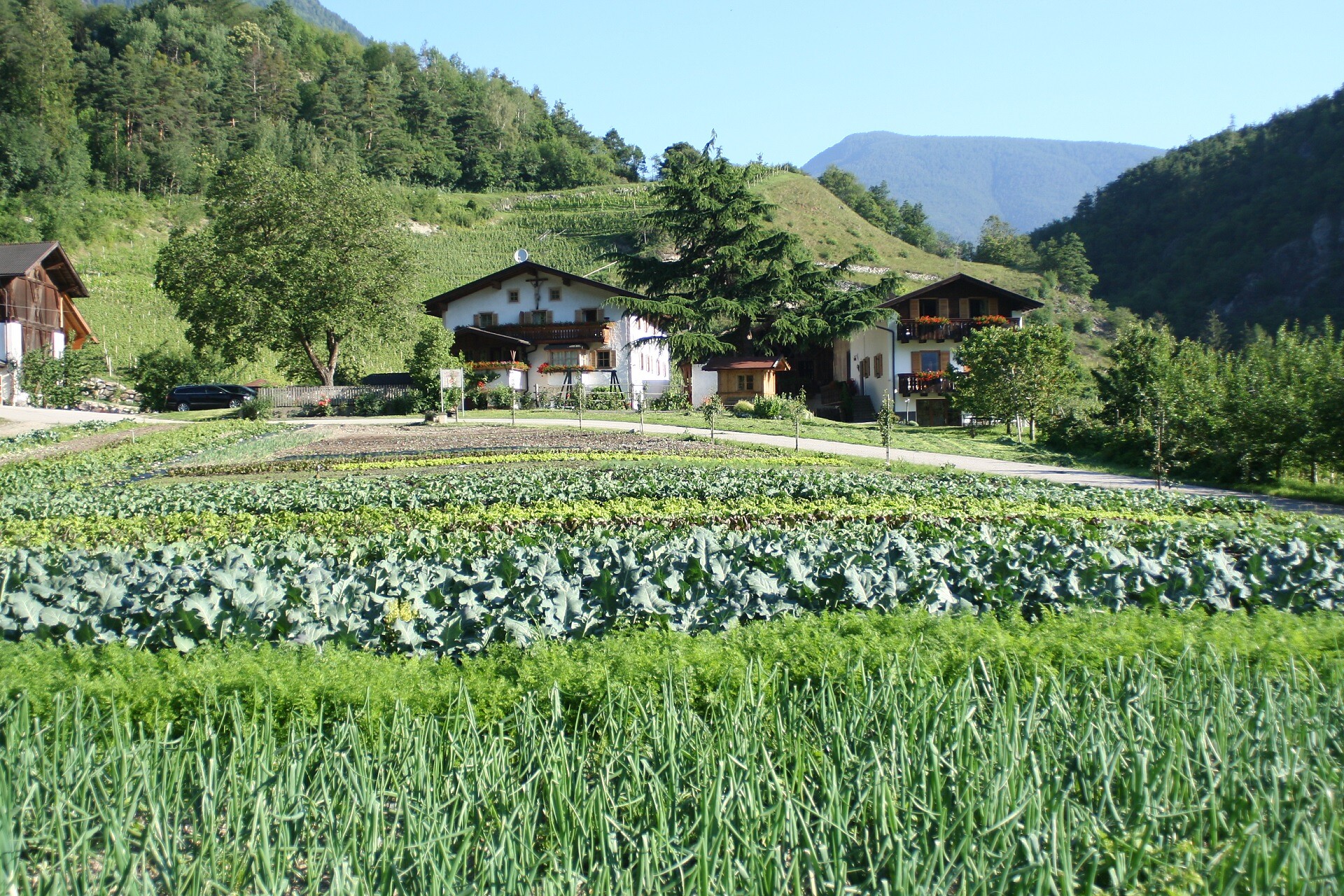 Punterhof Vahrn 3 suedtirol.info