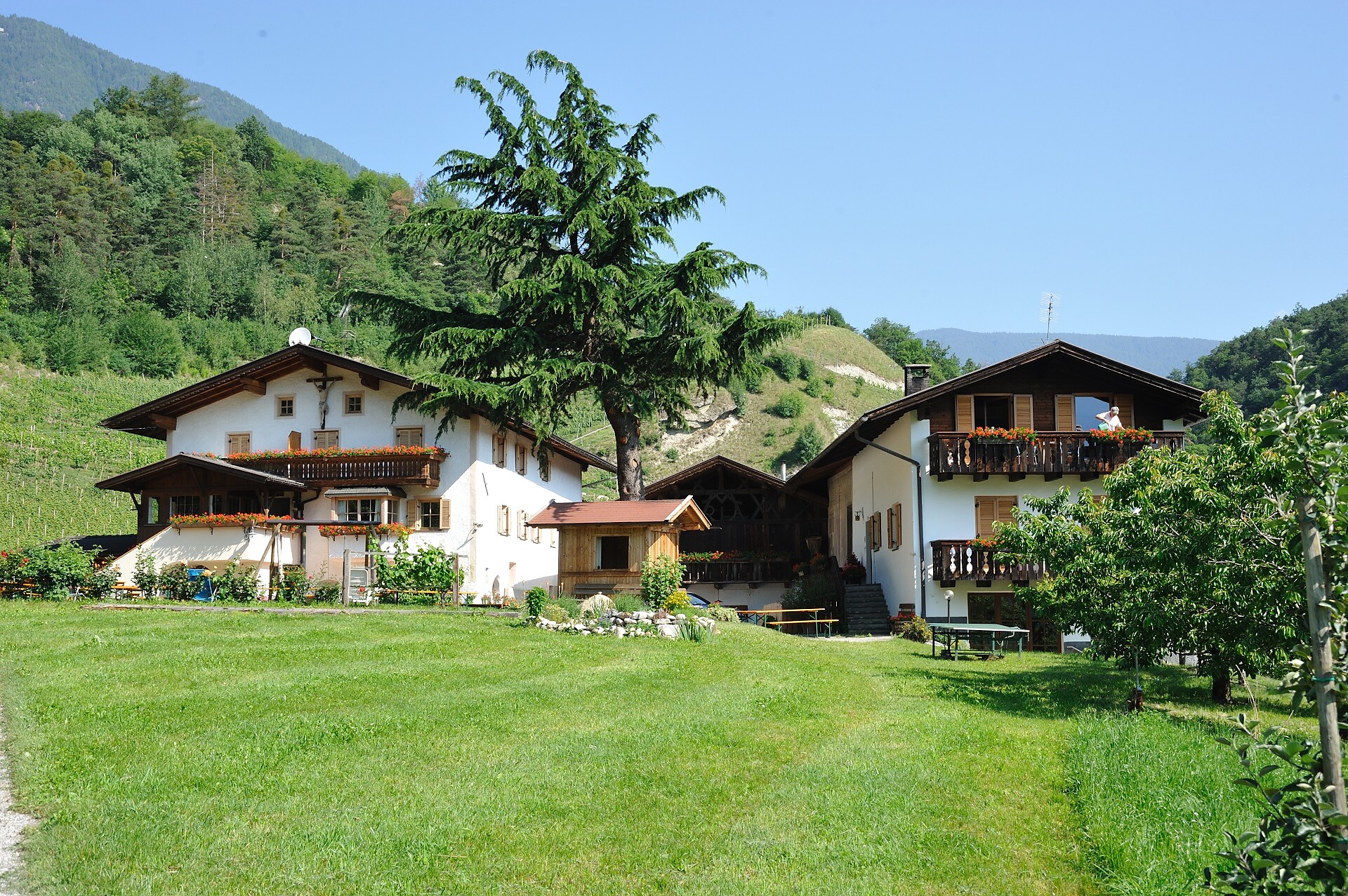 Punterhof Vahrn 1 suedtirol.info