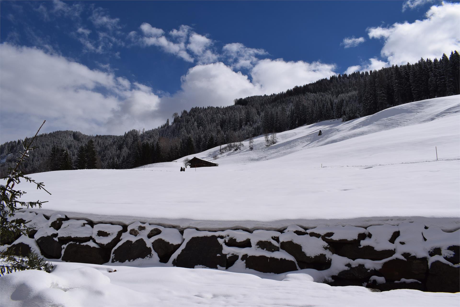 Pensione Reaserhof Racines 15 suedtirol.info