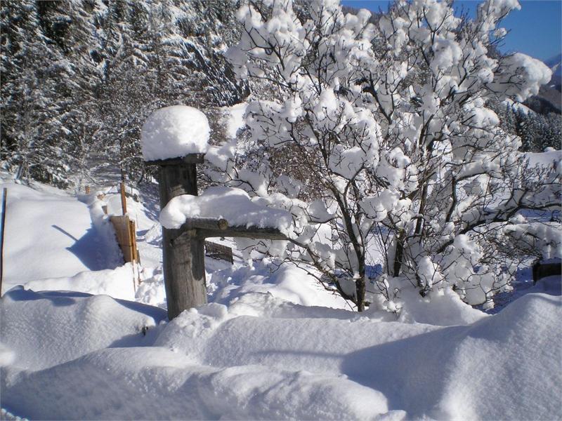 Platterhof albergo di montagna Valle Aurina 19 suedtirol.info